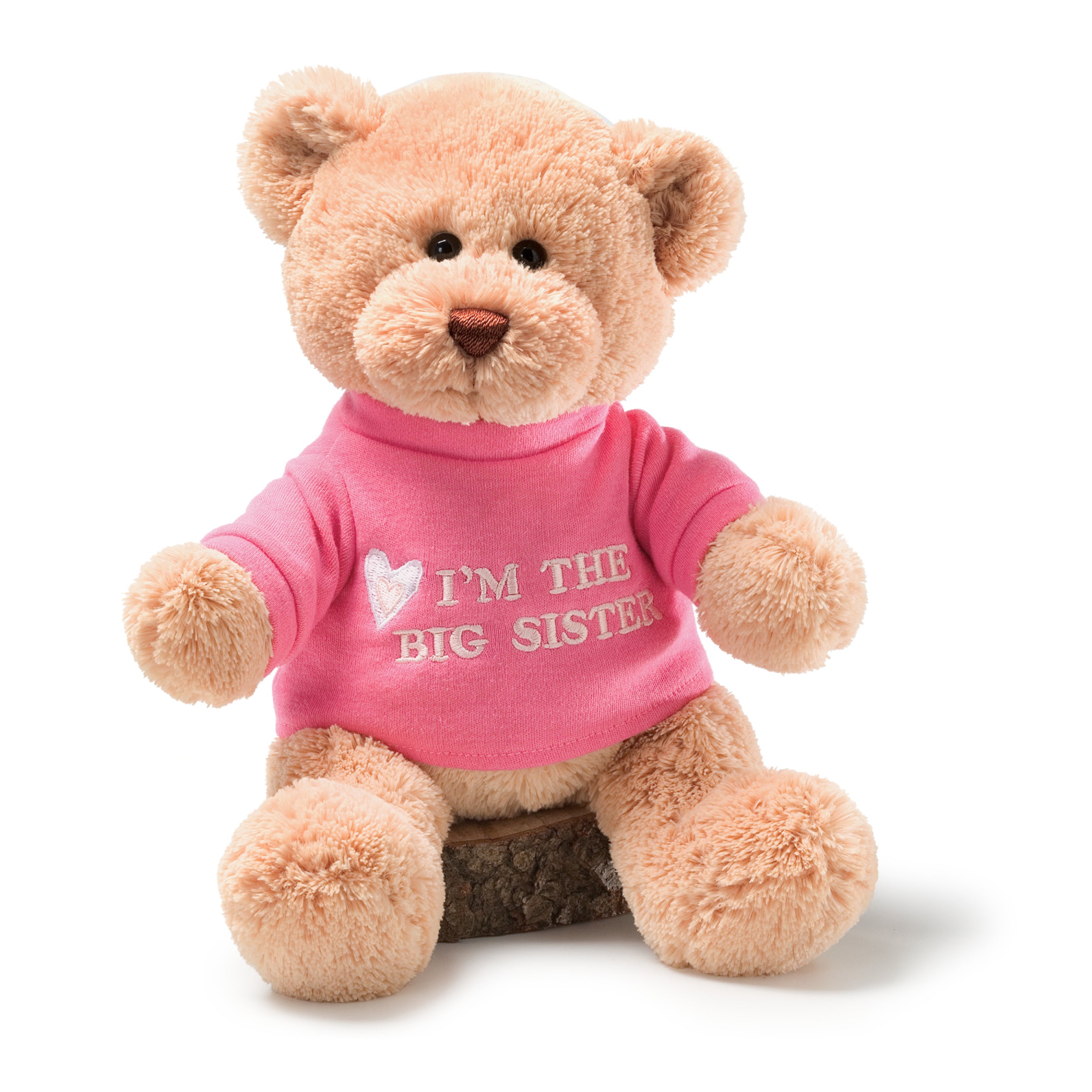 GUND “I’m the Big Sister” Message Bear with Pink T-Shirt, Teddy Bear Stuffed Animal for Ages 1 and Up, Brown, 12”