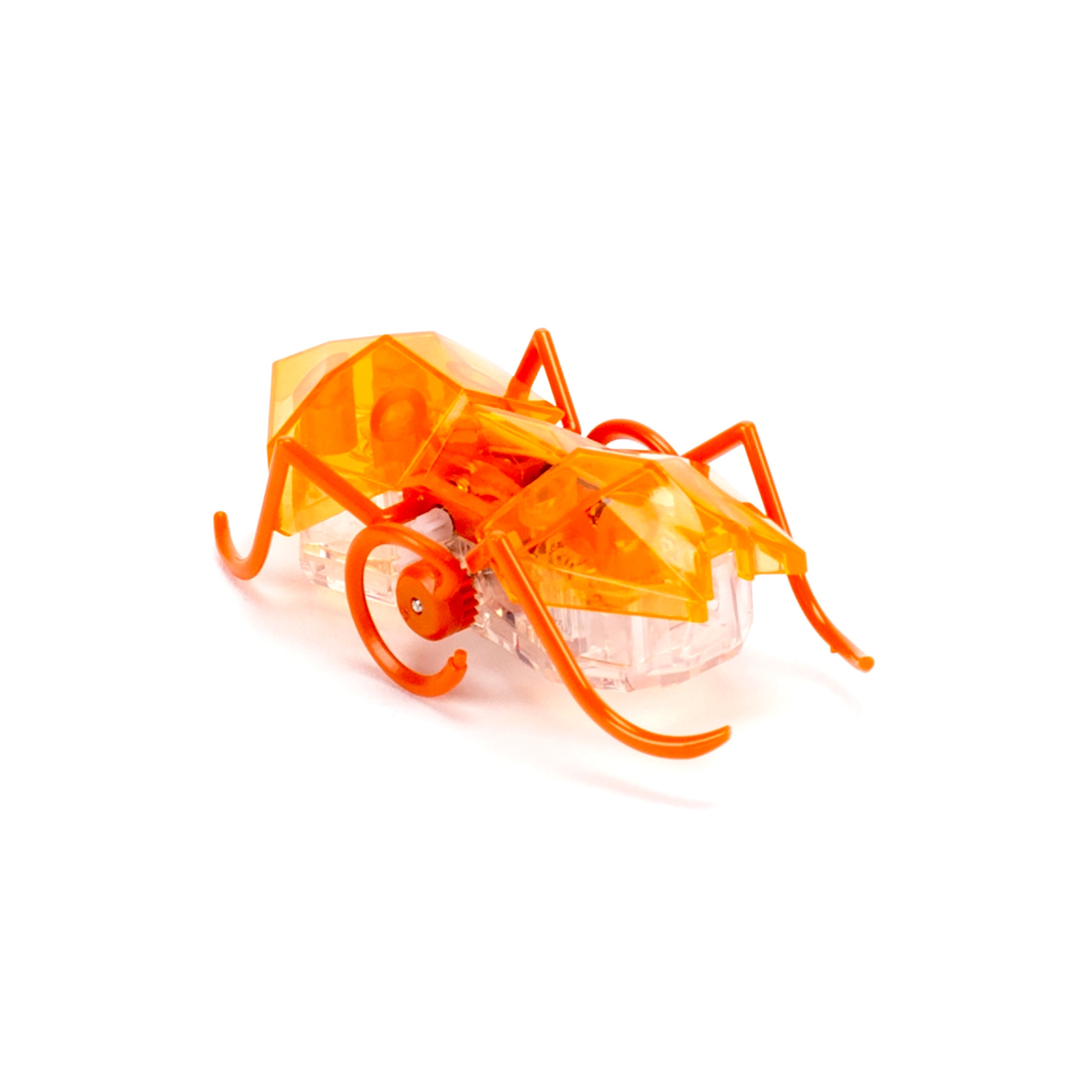 HEX BOTS Robotic Micro Ant