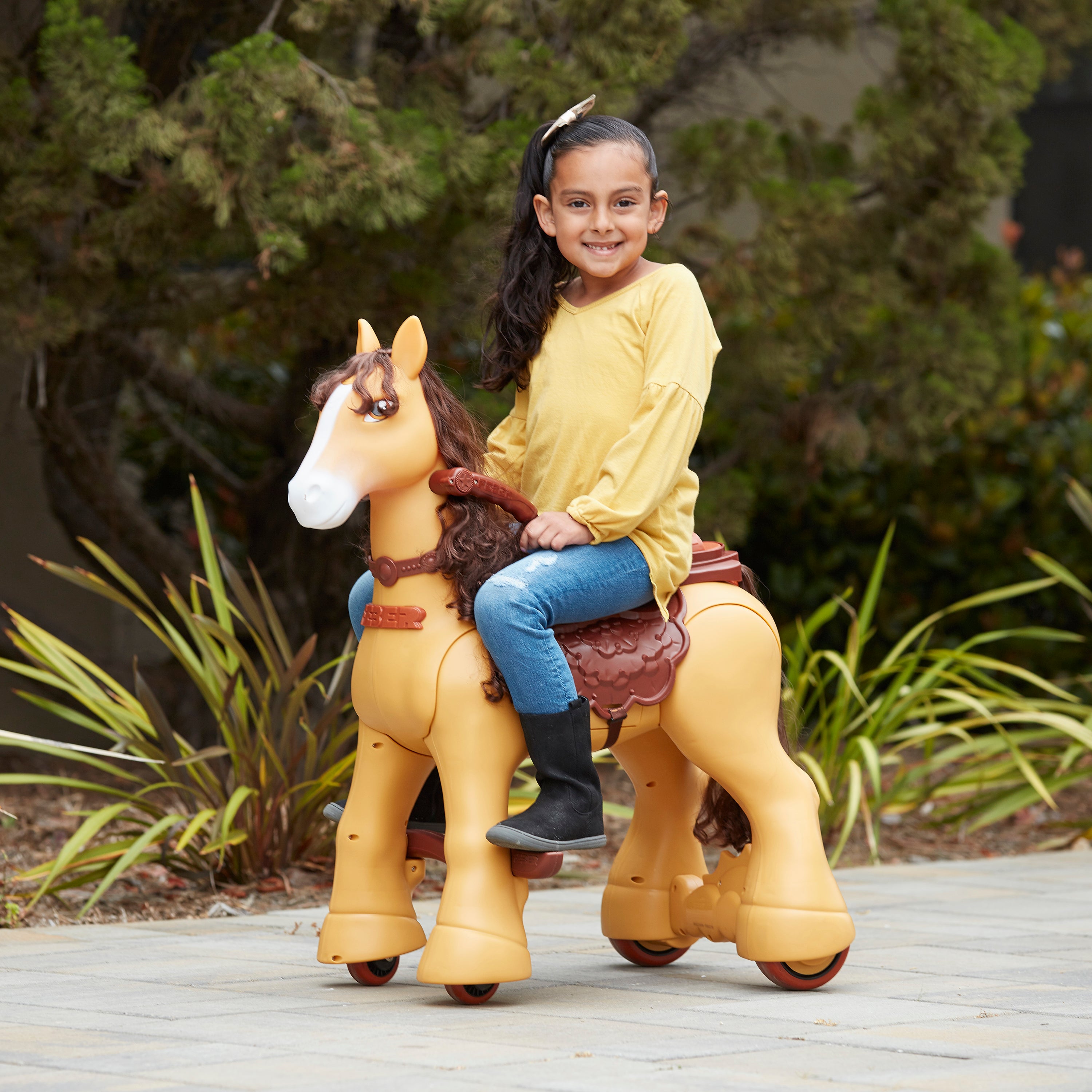 My Wild Pony