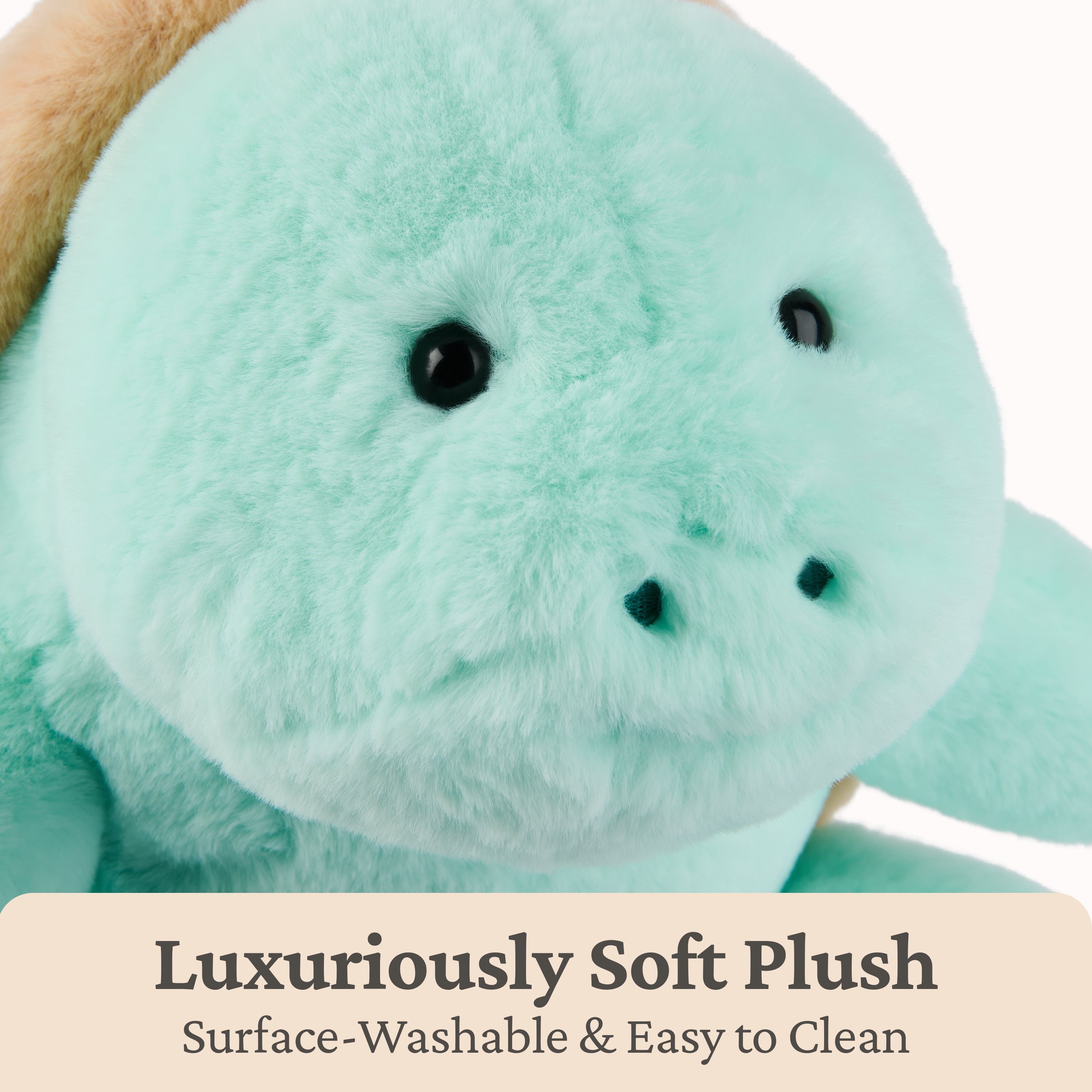 GUND Sprout Sea Turtle Plush, Premium Stuffed Animal for Ages 1 and Up, Green/Brown, 10”