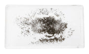 Magnetic Field Demonstration, 160mm x 90mm x 10mm, Pack of 10