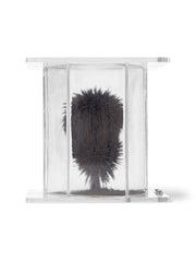 United Scientific® 3D Magnetic Field Demonstrator