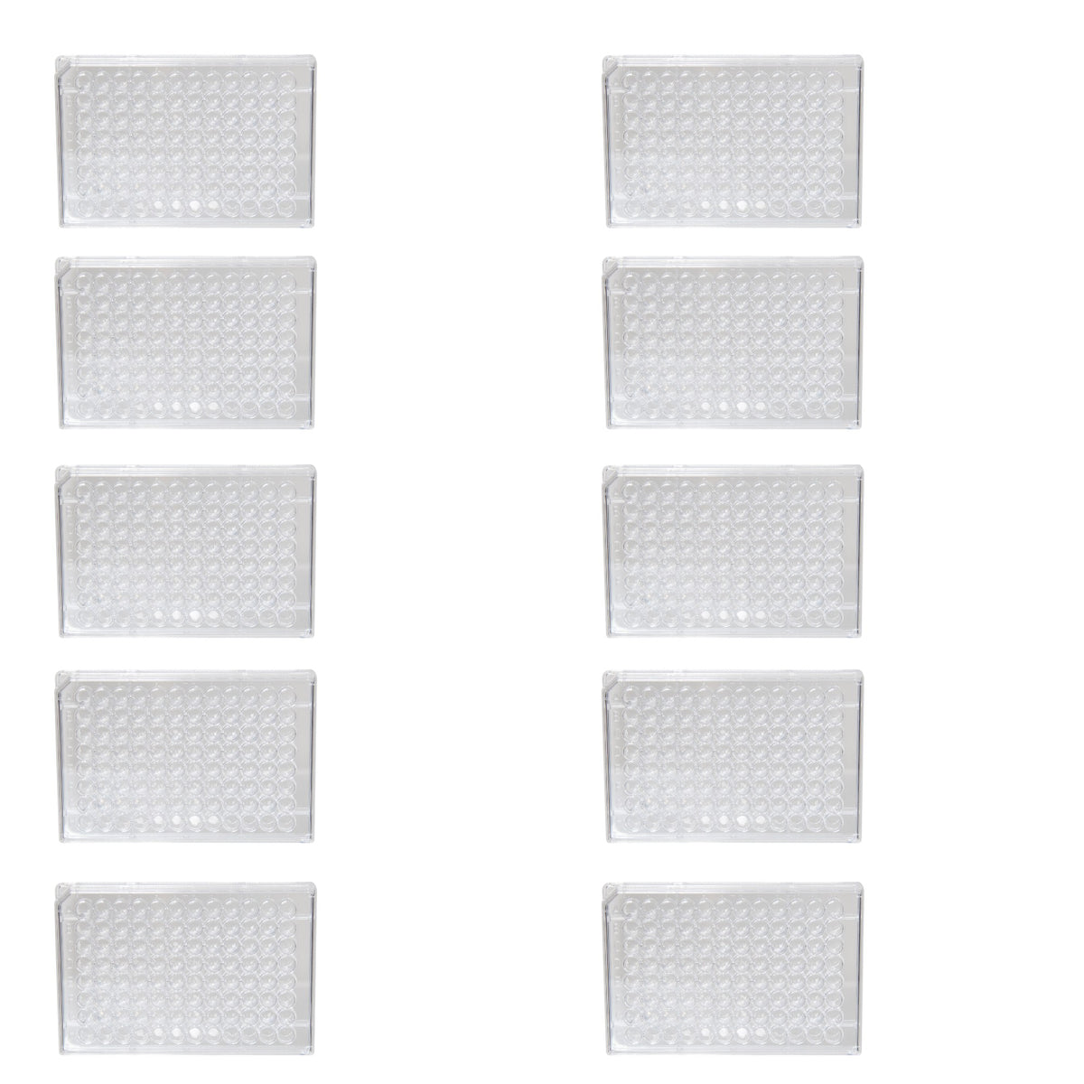 Microplate with 96 Wells and Lid, Clear Polystyrene, Pack of 10