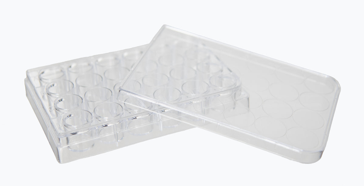 Microplate with 24 Wells and Lid, Clear Polystyrene, Case of 200