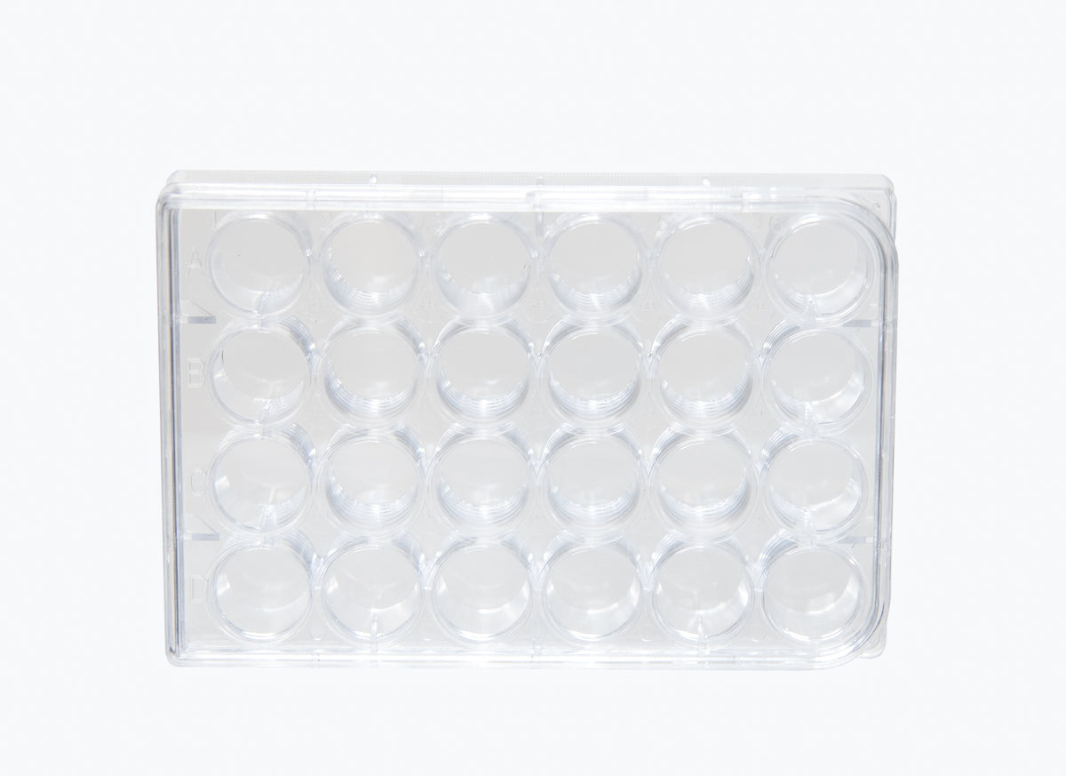 Microplate with 24 Wells and Lid, Clear Polystyrene, Pack of 10
