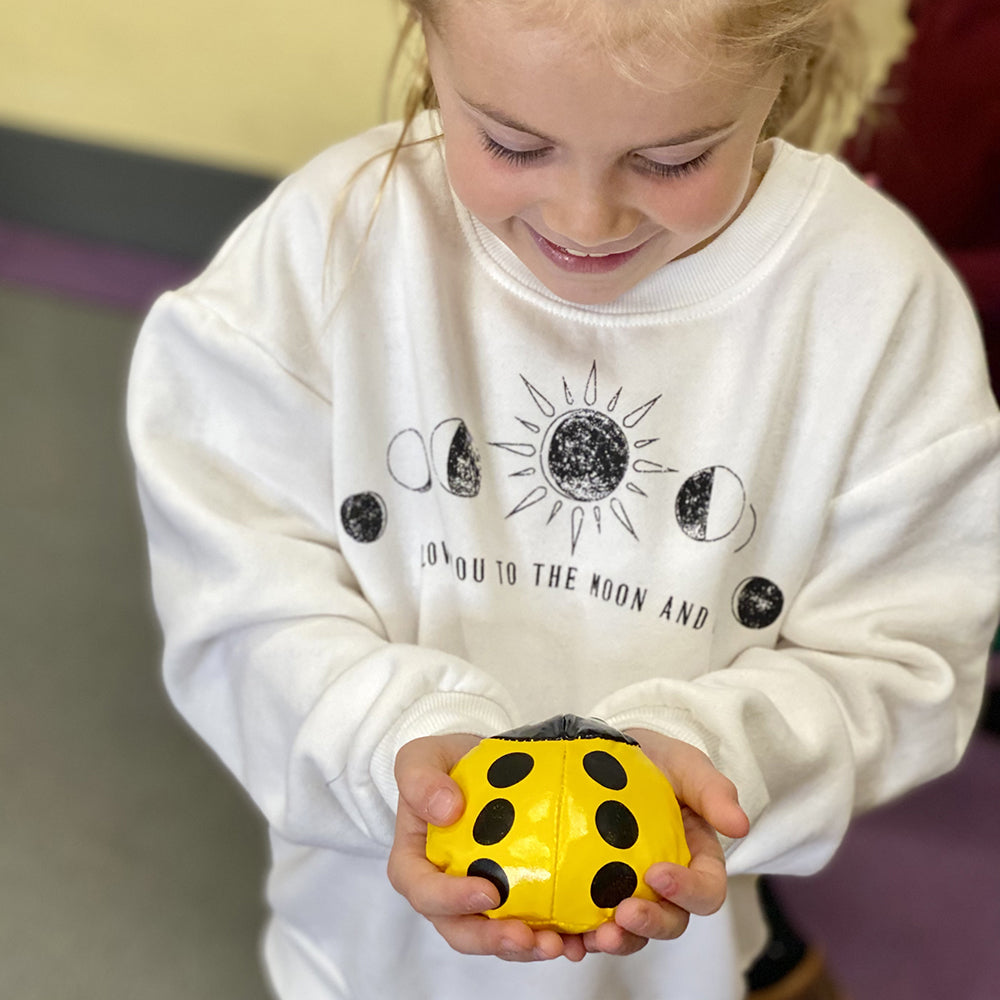 Ladybug Bean Bags