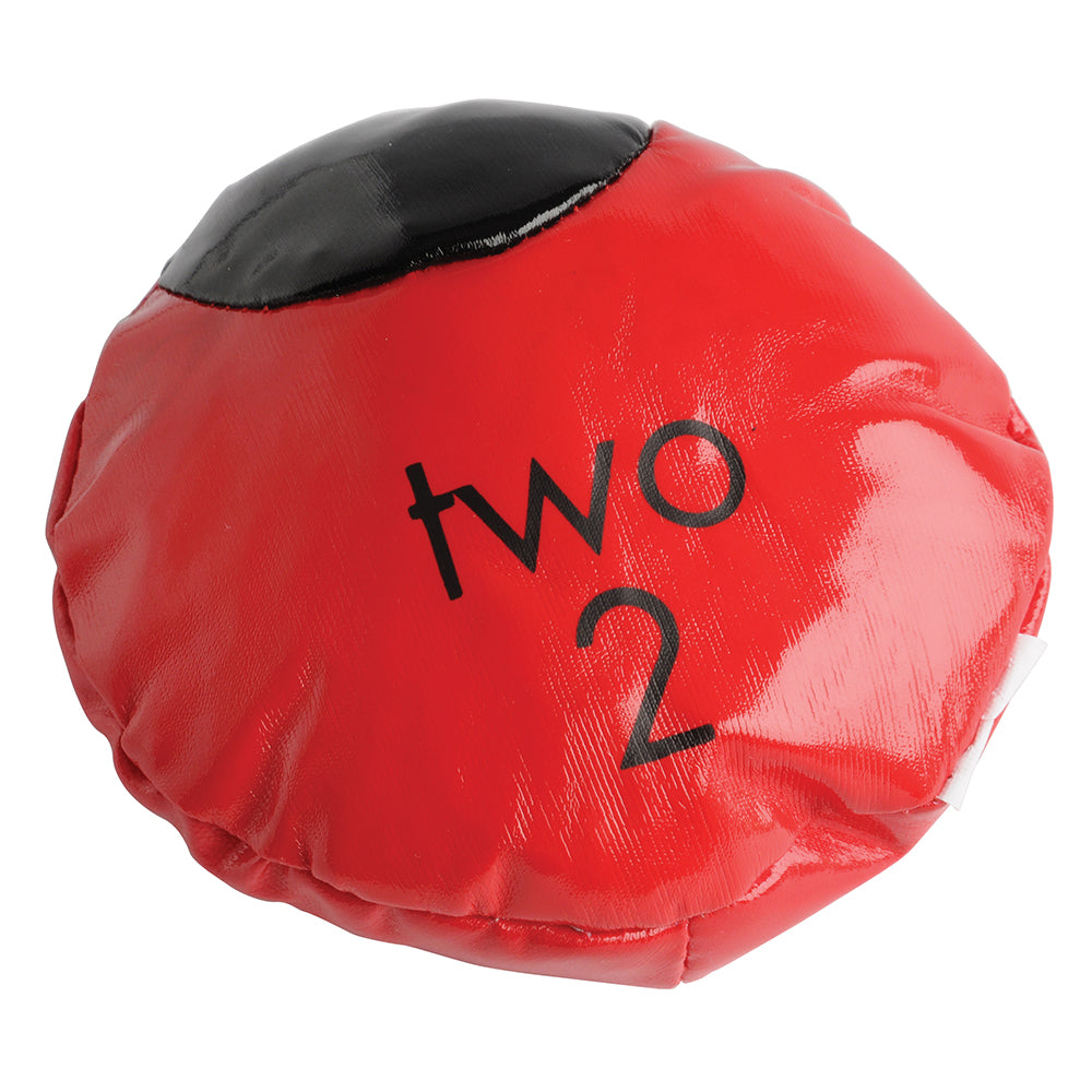 Ladybug Bean Bags