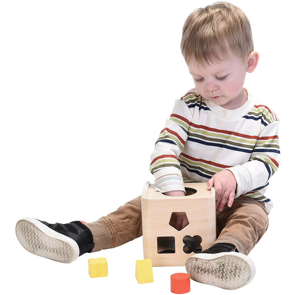 Wooden Animal & Shape Sorter