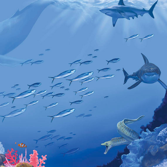 MURAL WALLS (Mountain, Ocean, Outer Space or Jungle) - 8'H x 20'L - Custom Image/Logo without Mats