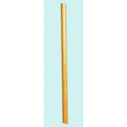 5 FT B POLE ONE EA
