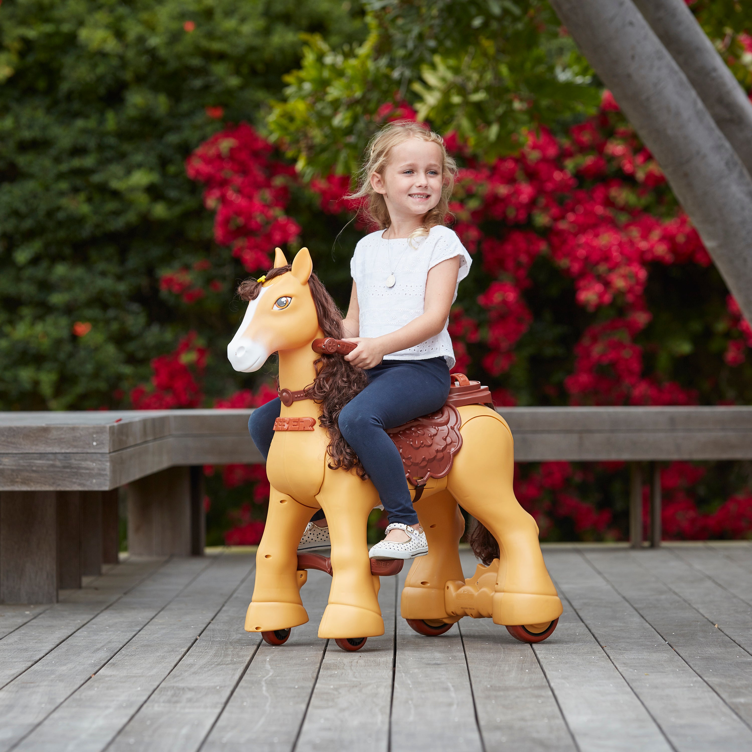 My Wild Pony