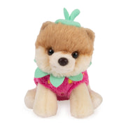 GUND Boo, The World’s Cutest Dog Strawberry Plush Toy, Pomeranian Stuffed Animal for Ages 1 and Up, Spring Decor, 5”