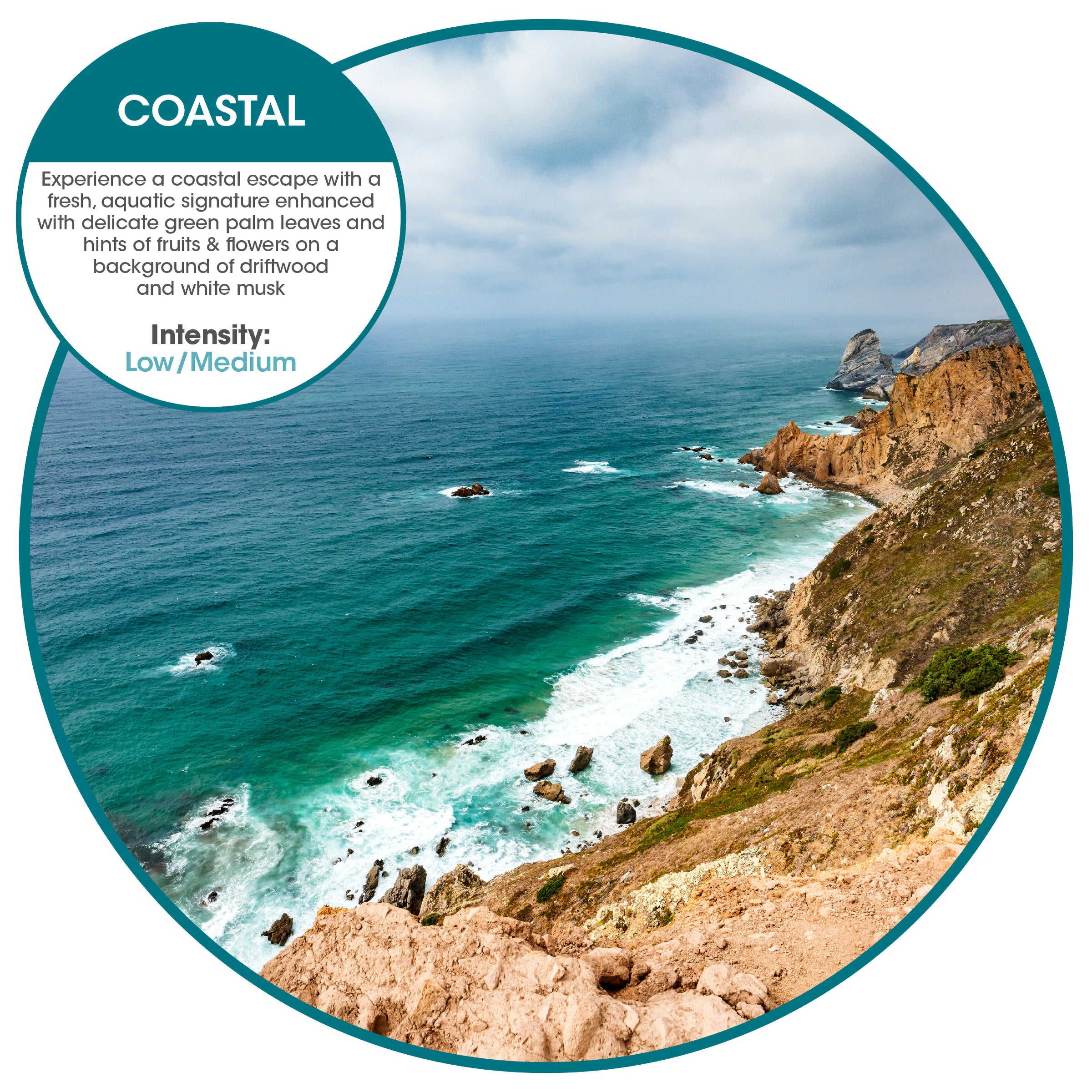 Tsunami Coastal (6 Pack)