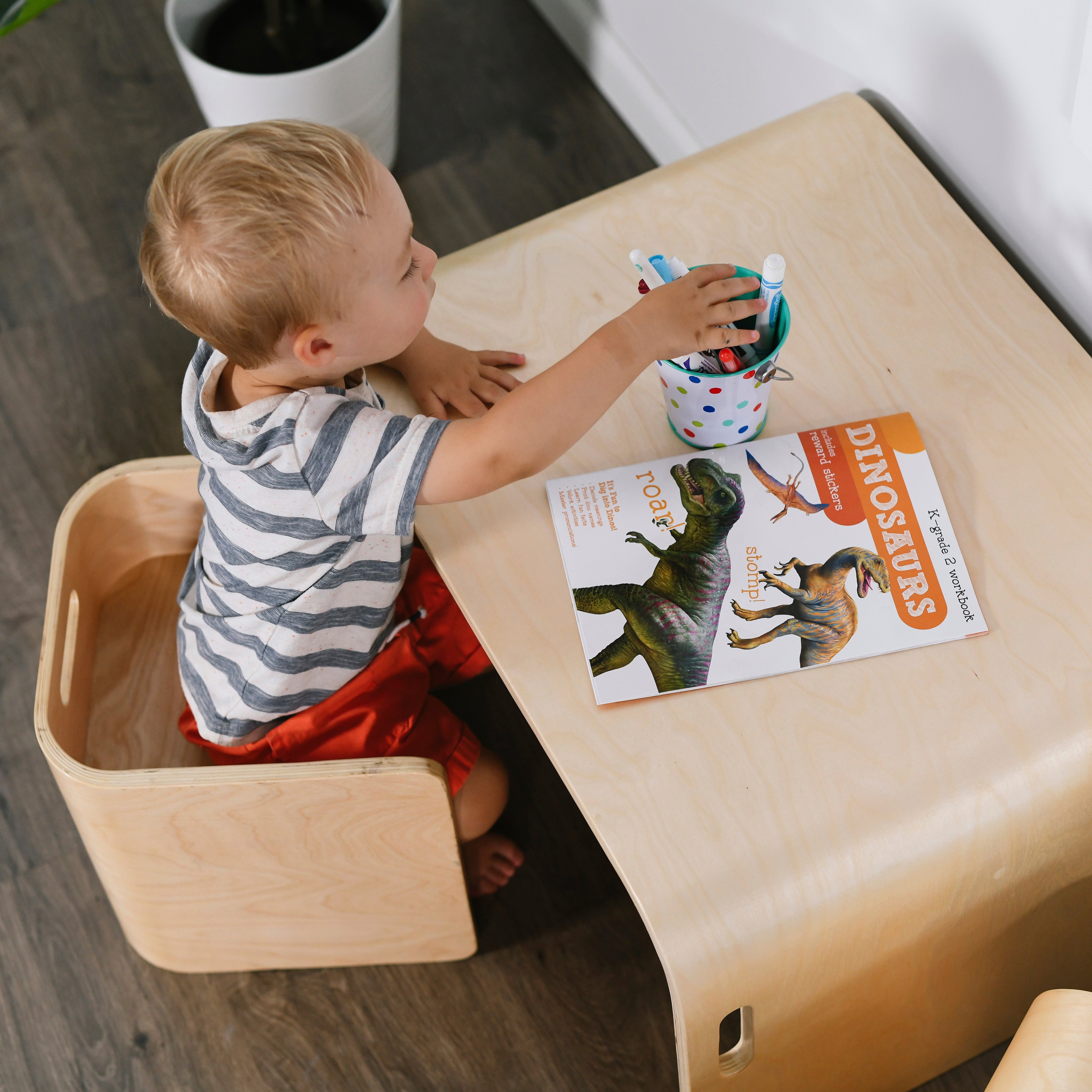 Bentwood Multipurpose Table and Chair Set - Natural