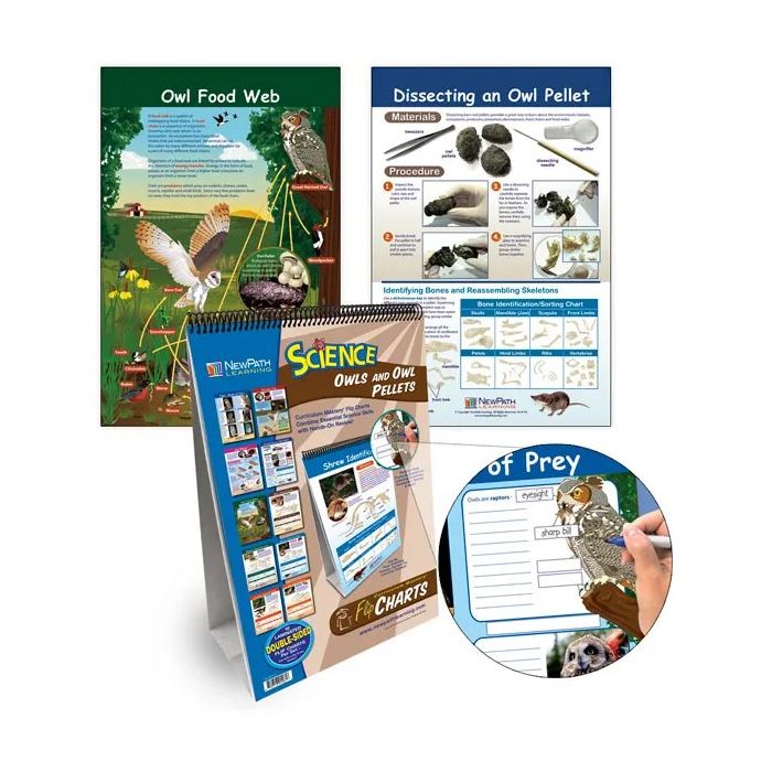 Owls & Owl Pellets Set - Curriculum Mastery Flip Charts