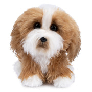 GUND Boo, The World’s Cutest Dog, Boo & Friends Collection Tibetan Terrier Puppy, Stuffed Animal for Ages 1 and Up, 5”