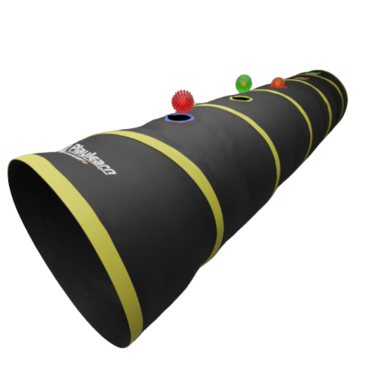 Pop Up Tunnel with 5 Sensory Balls