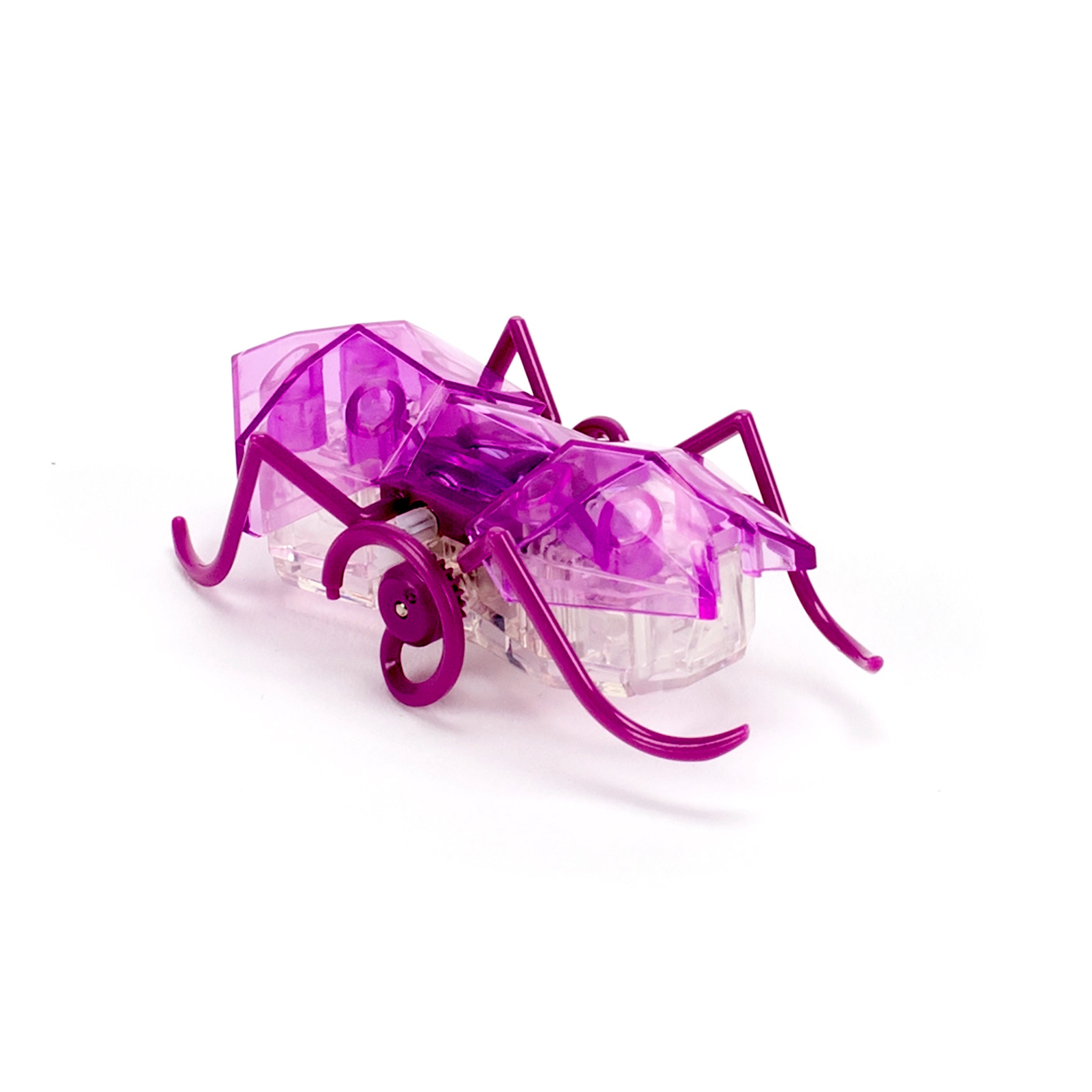 HEX BOTS Robotic Micro Ant