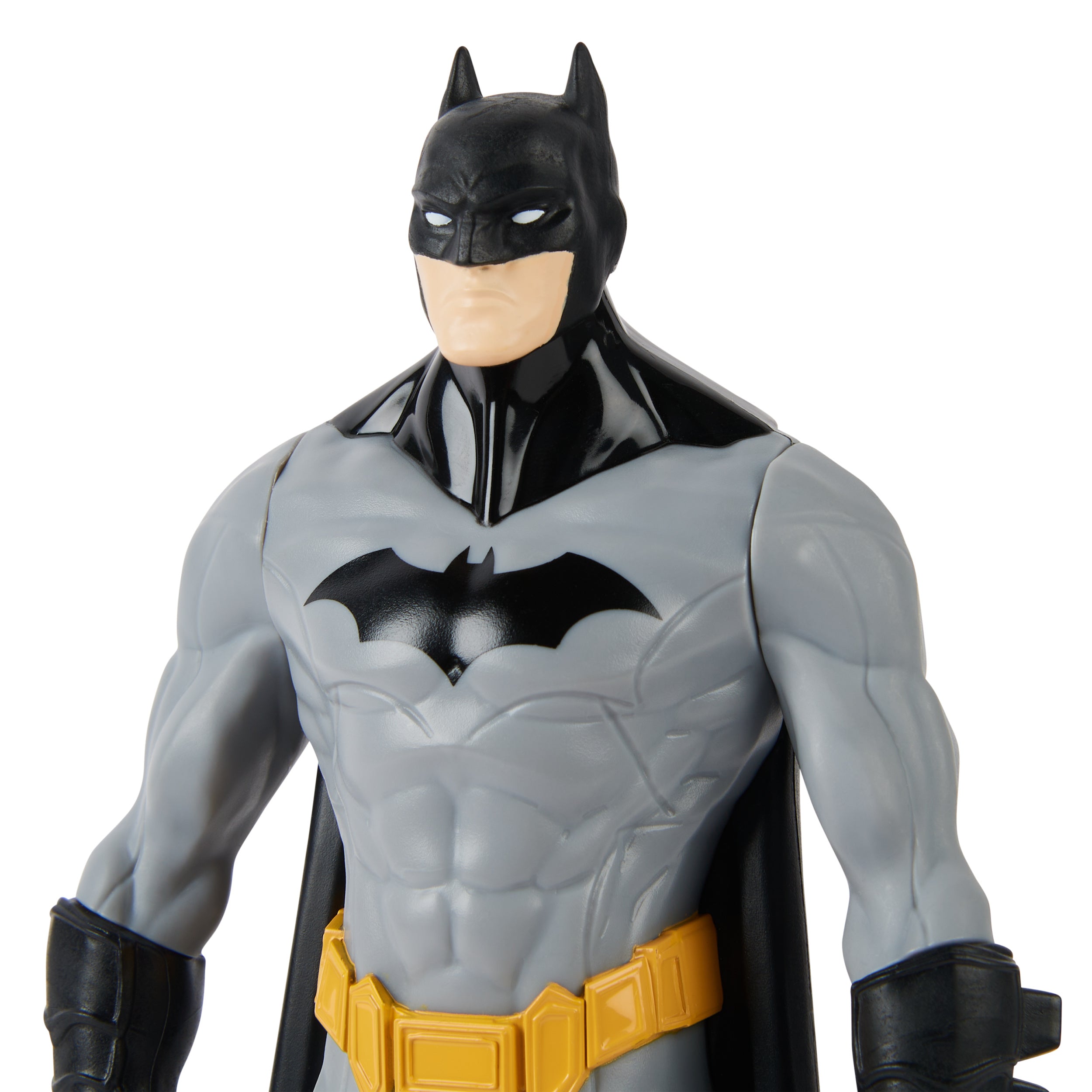 DC UNIVERSE 9.5in FIGURE ASST