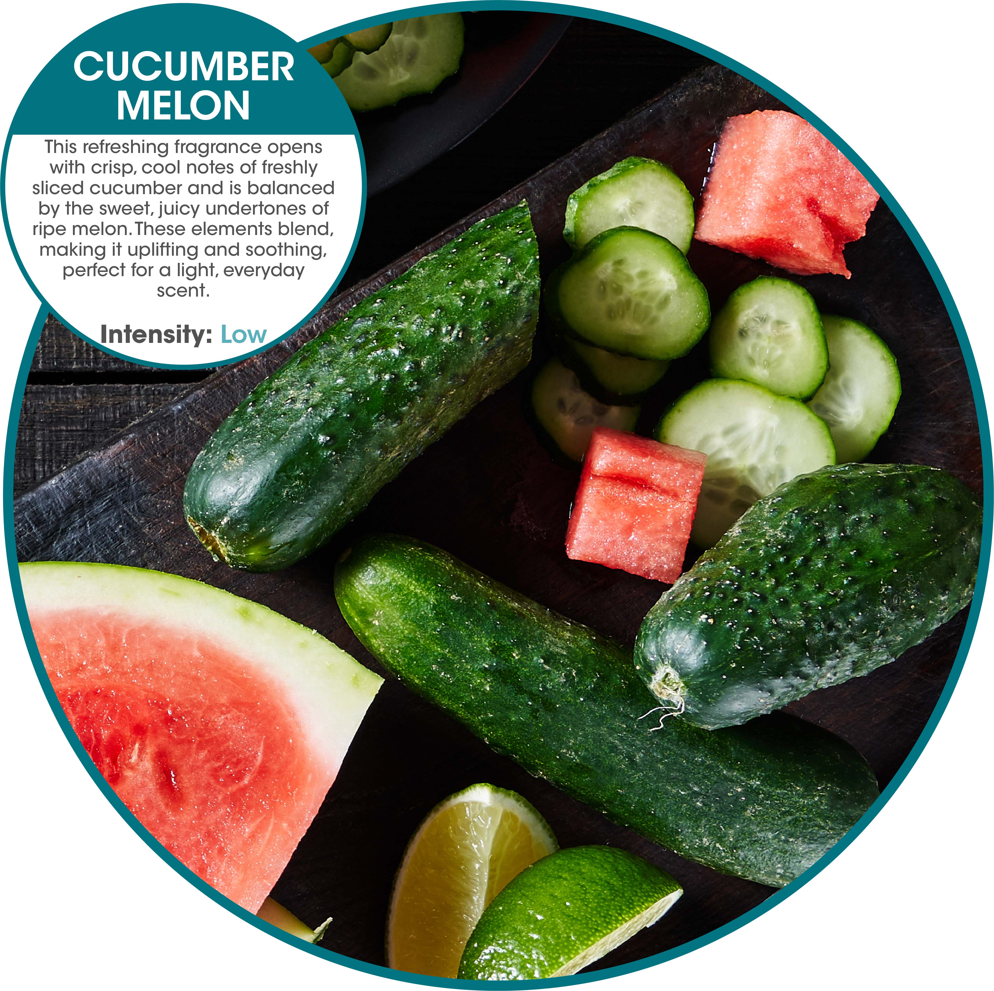 Easy Fresh 2.0 refills (w/ battery) Cucumber Melon (12 Pack)