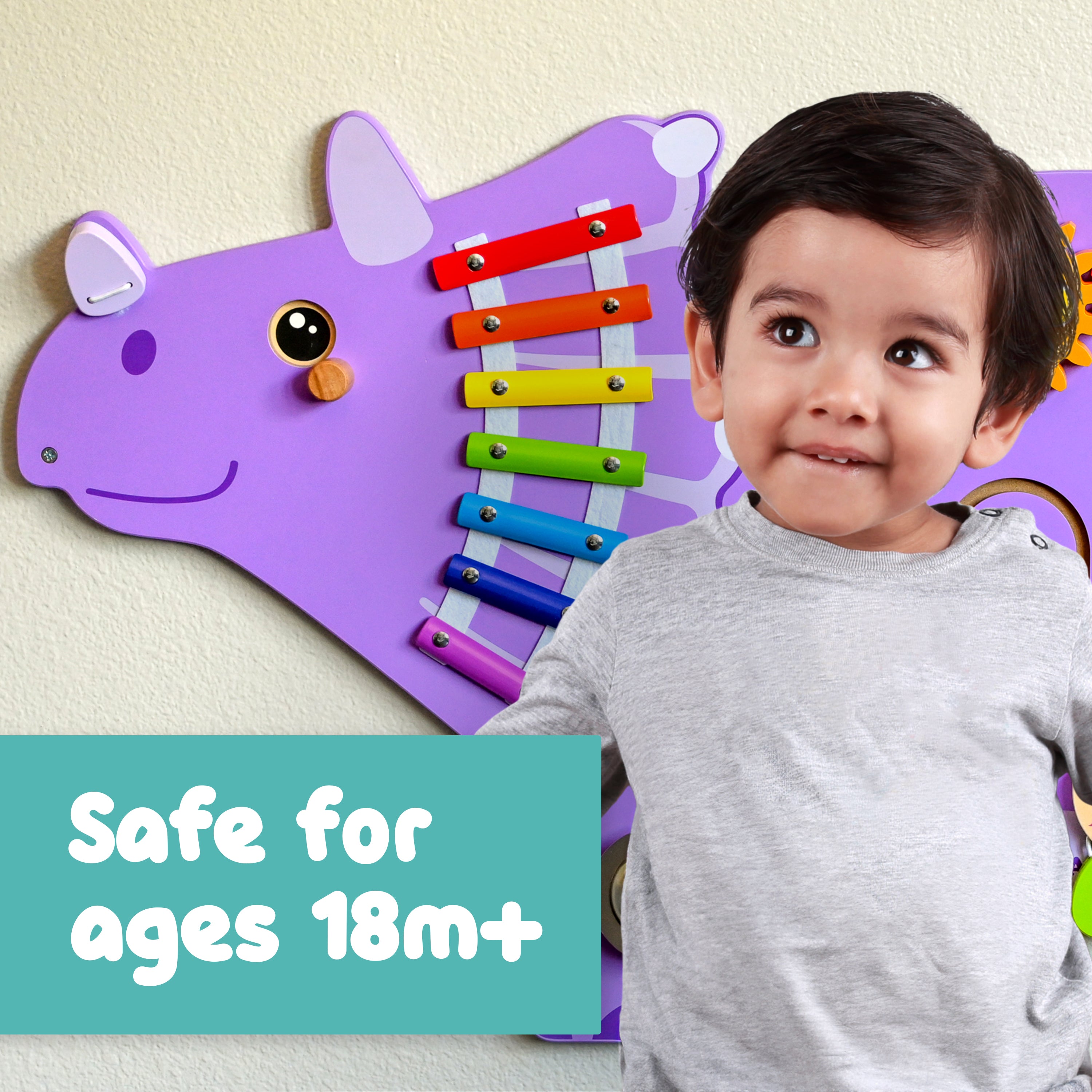 *Triceratops Activity Wall Panels