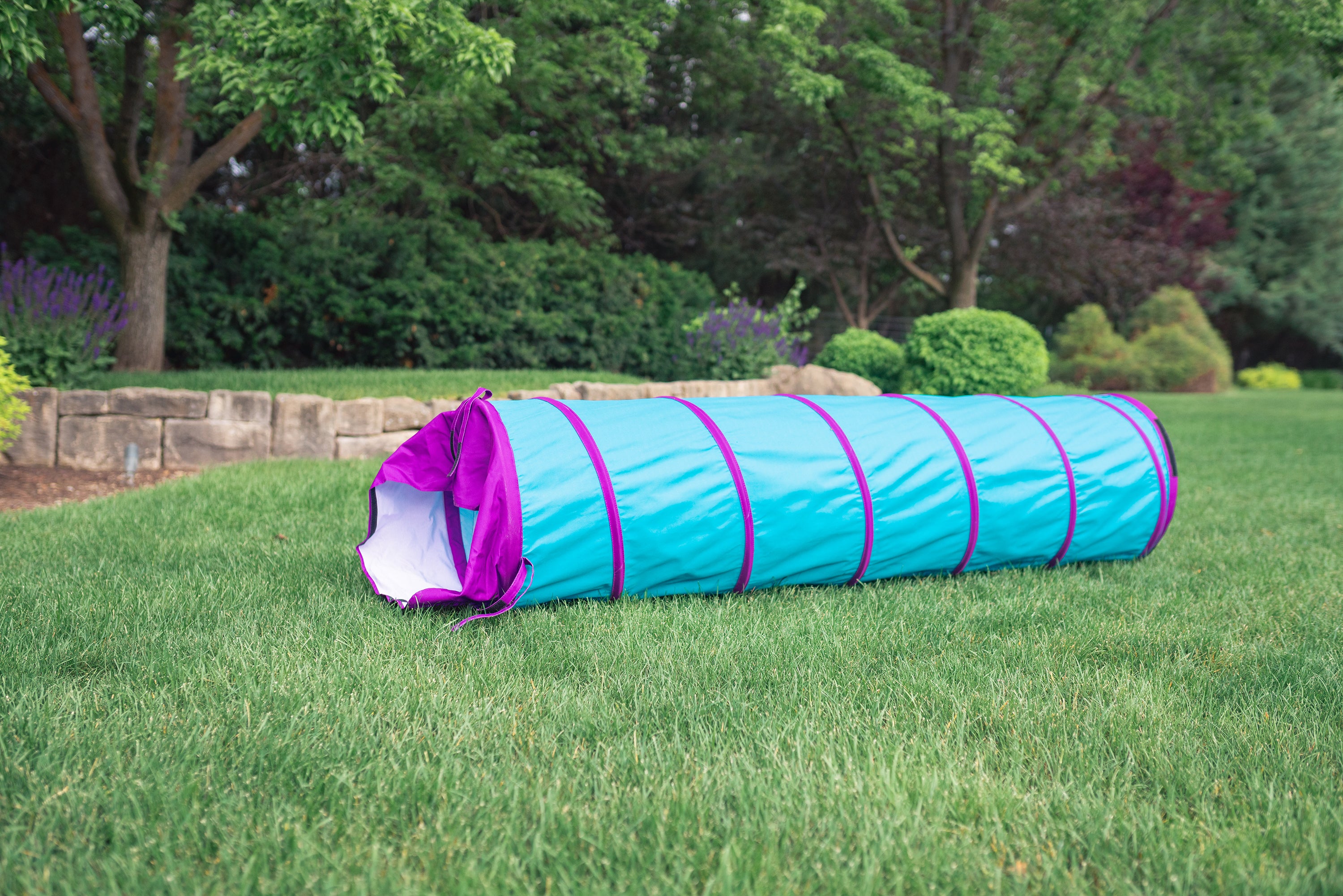 Institutional Tunnel - Teal/Purple