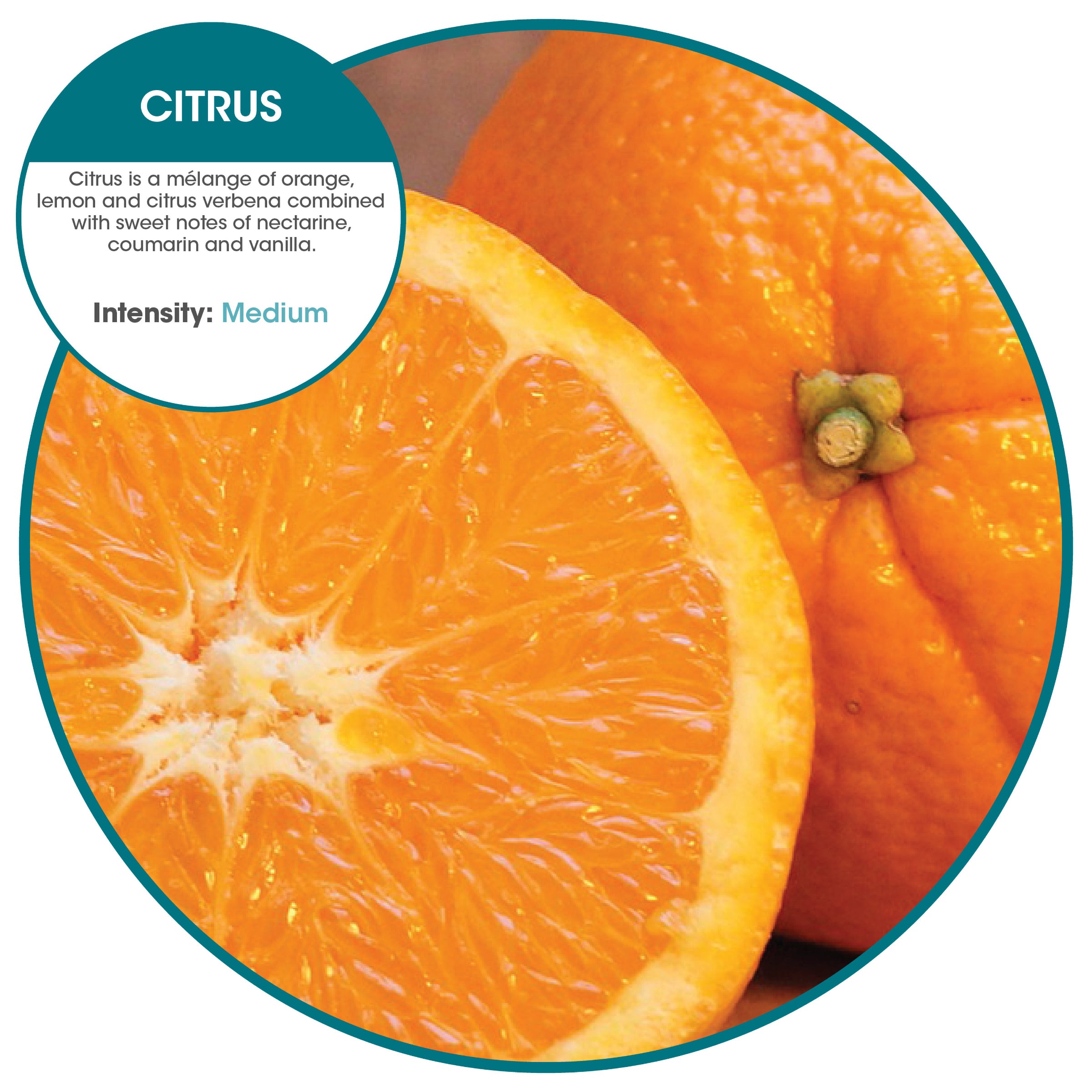 Easy Fresh 2.0 refills (w/o battery) Citrus (72 Pack)