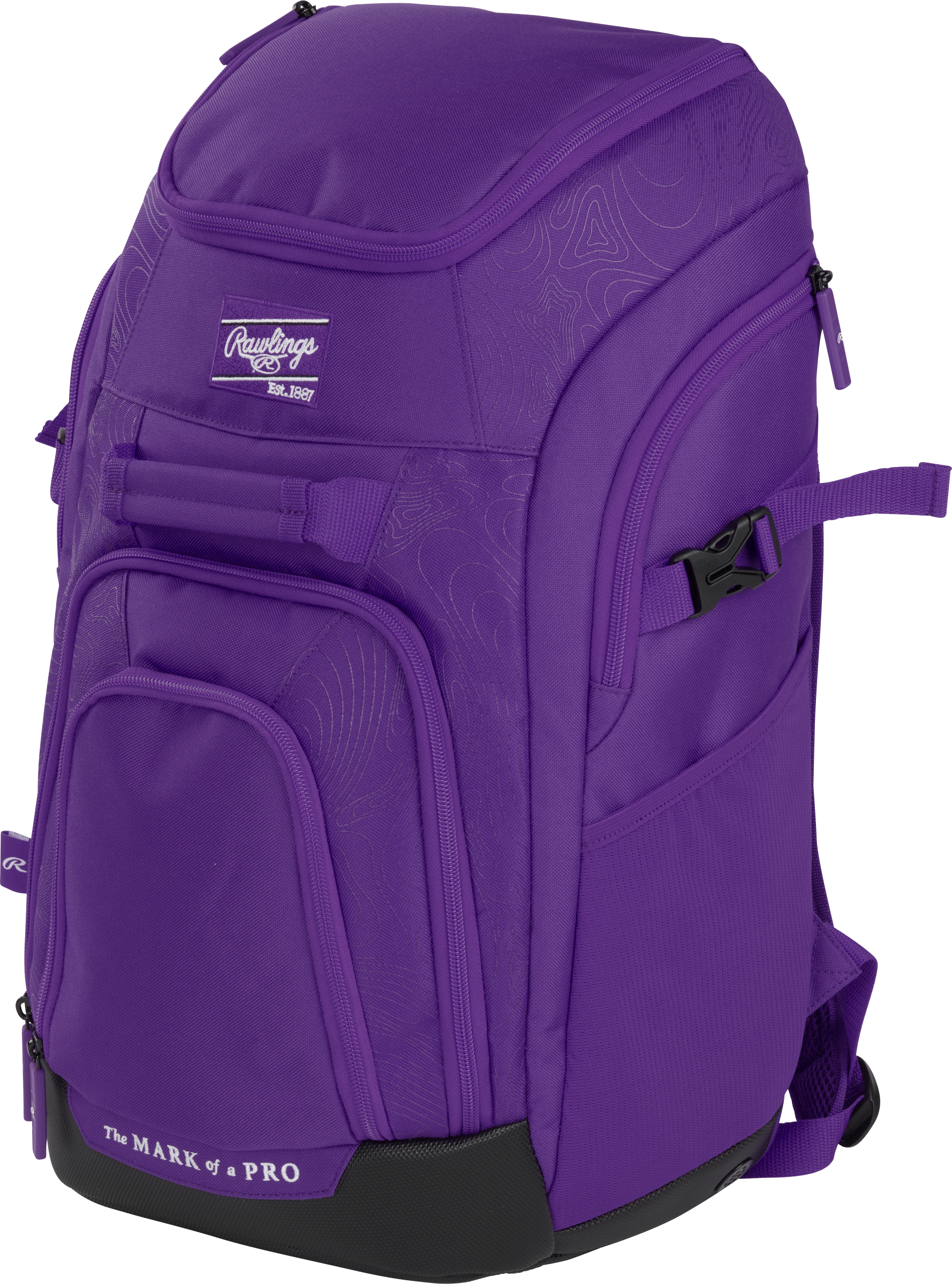 Rawlings Franchise 2 Players Backpack - Purple