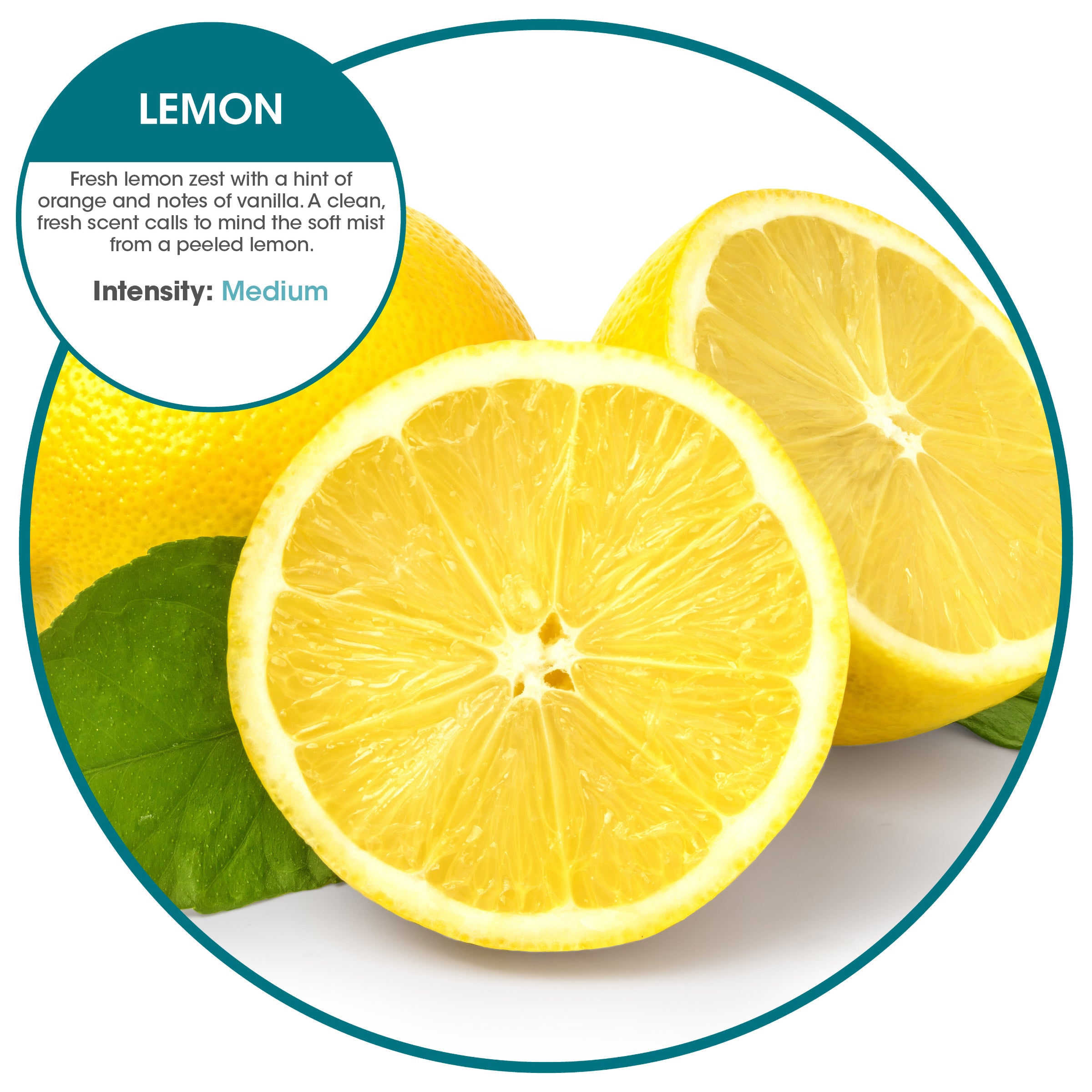 Conqueror 103 Liquid - 5 gallons Lemon (1 Pack)