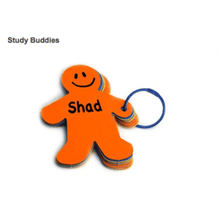 Study Buddies-Book Rings, 100 ct + ring, 2"x3", Assorted Colors