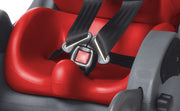 (MS7) Small MPS Seat Cushion - 10 in. w x 12 in. d - CHERRY