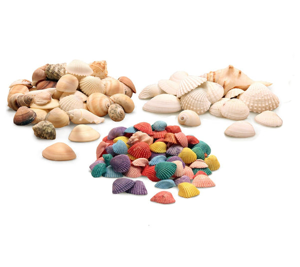 Seashells - 5 oz Natural Mix