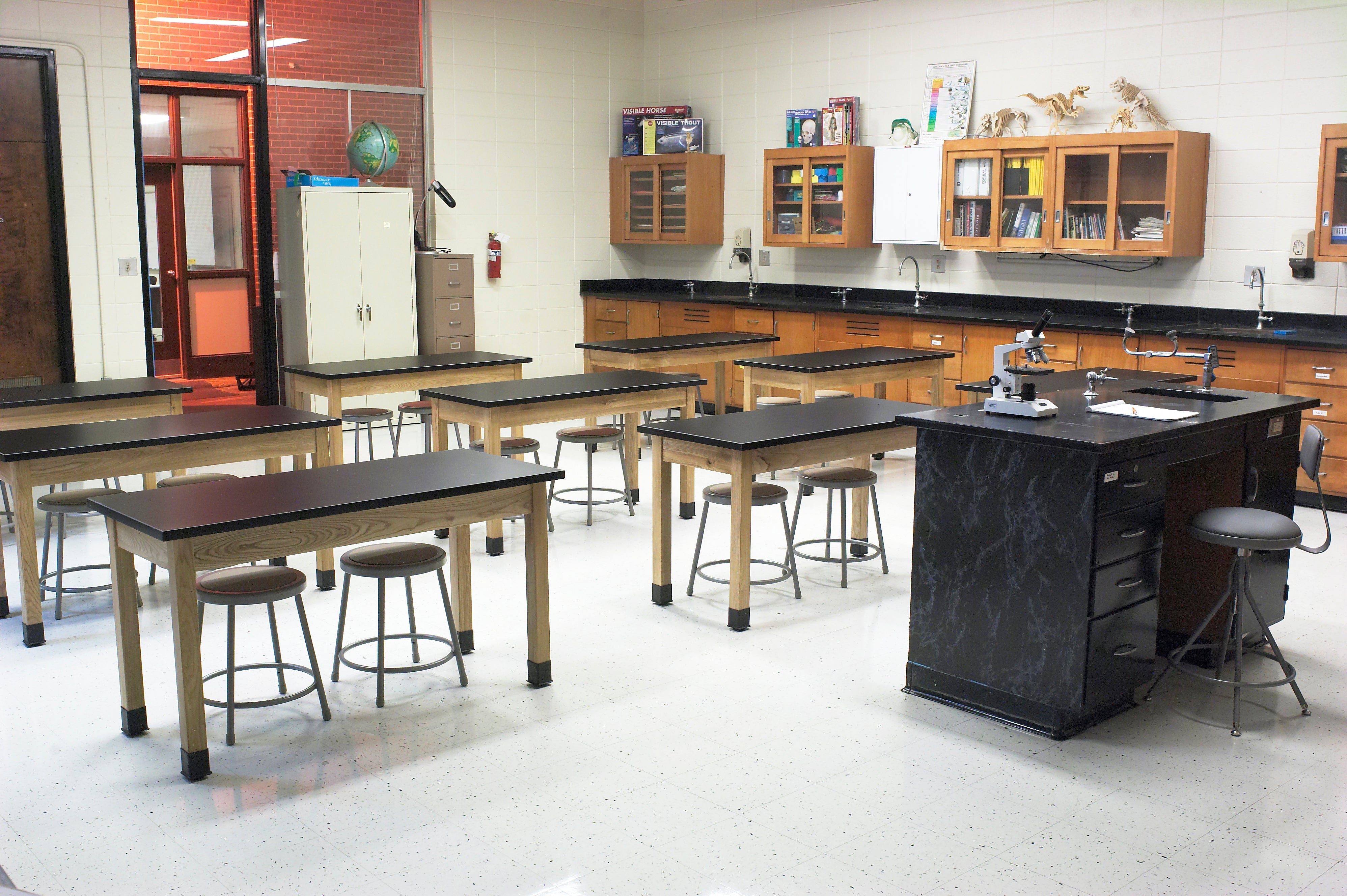 NPS® Wood Science Lab Table, 24"x48"x30", Chemical Resistant Top, Surface Color: Black, Frame Color: Ash (Optional Book Compartment and Castor Add-On)