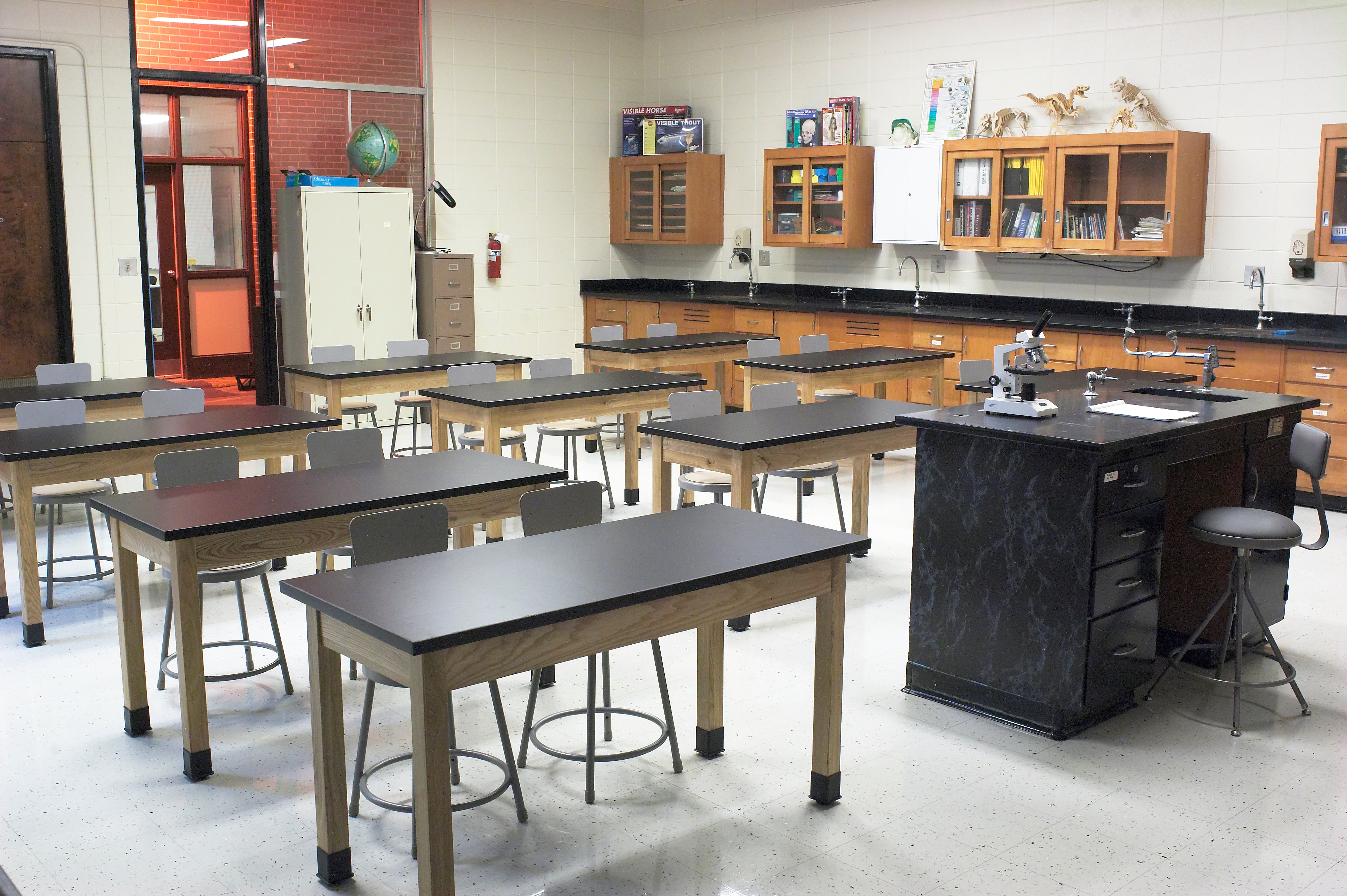NPS® Wood Science Lab Table, 24"x48"x30", Chemical Resistant Top, Surface Color: Black, Frame Color: Ash (Optional Book Compartment and Castor Add-On)