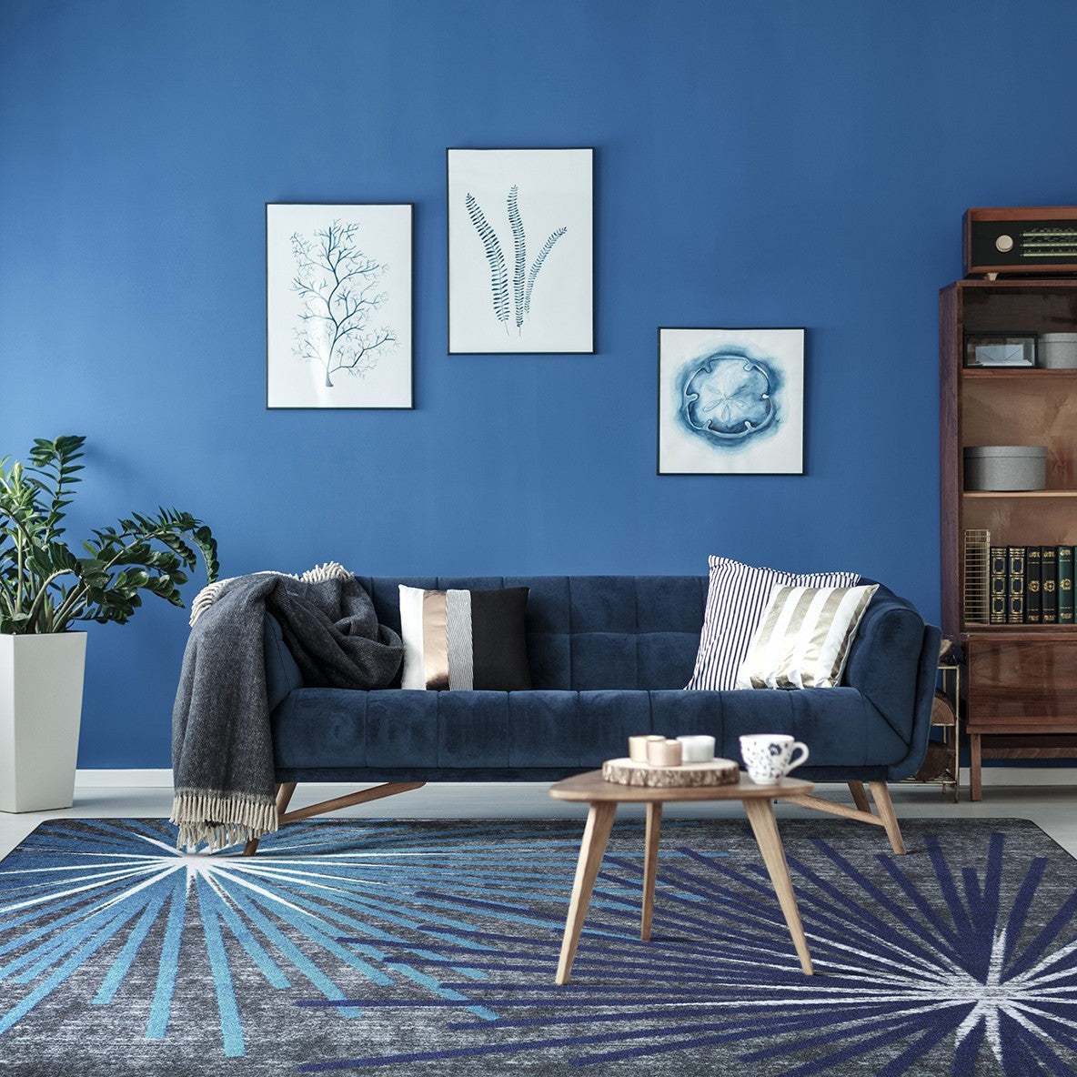 Sputnik 3'10" x 5'4" area rug in color Citrus