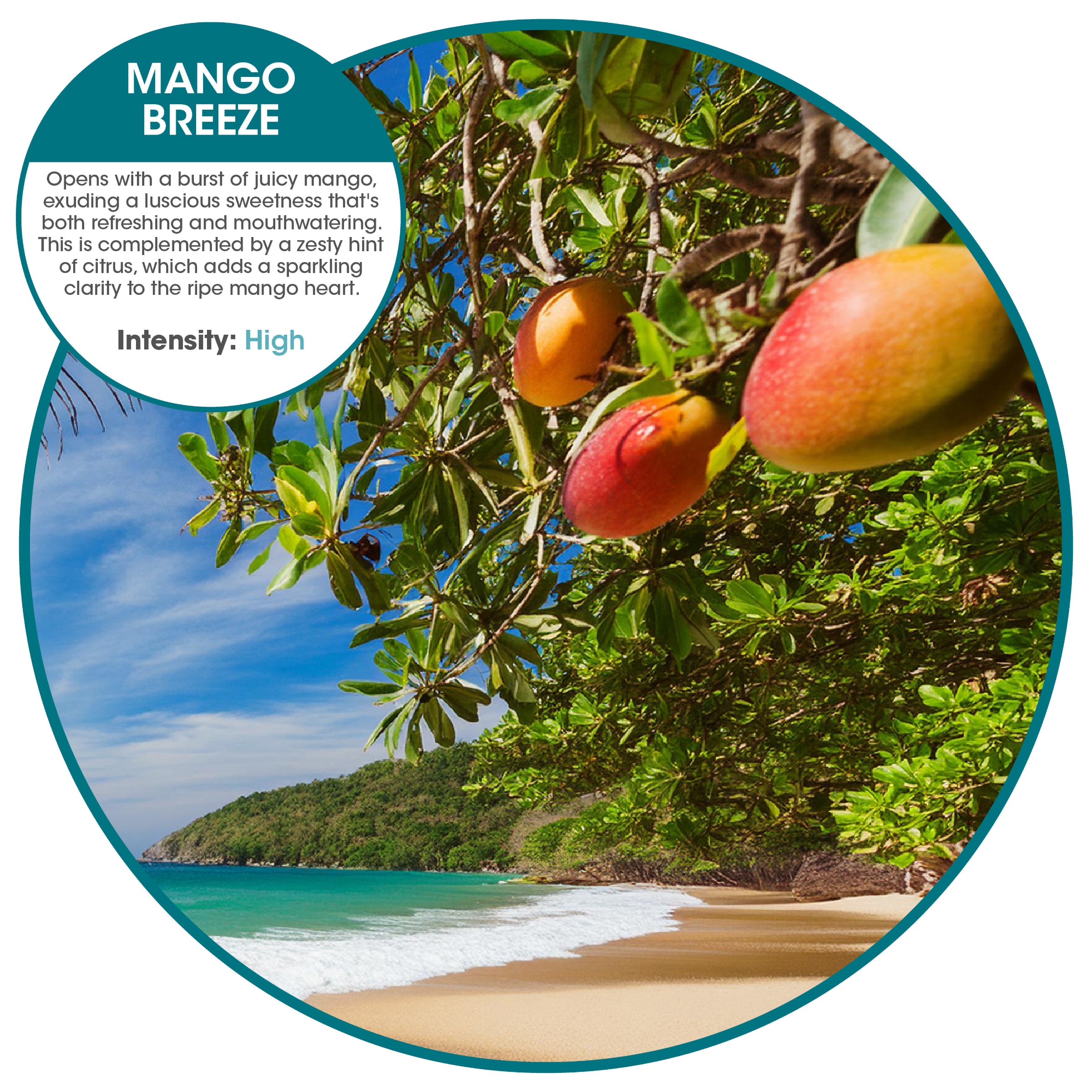 Fusion 3000 aerosol refills Mango Breeze (12 Pack)