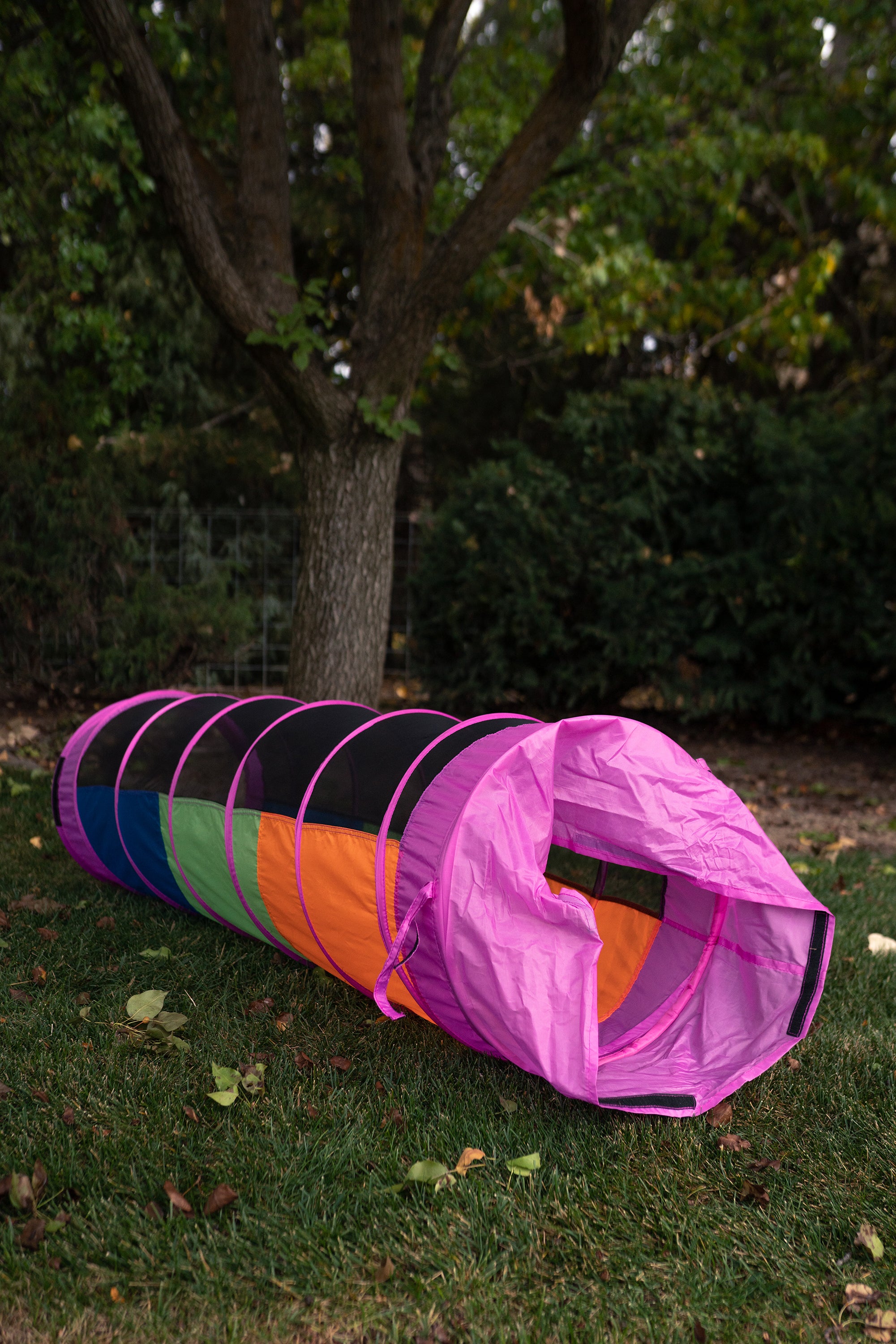 Peek-a-Boo I See You 6FT Tunnel - Blue / Green / Yellow