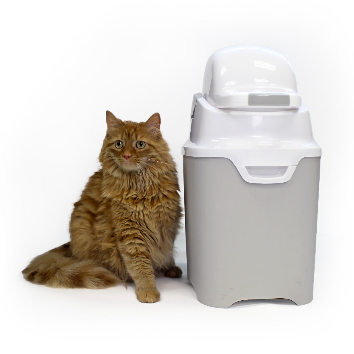 Foundations Mini Diaper Pail, Gray