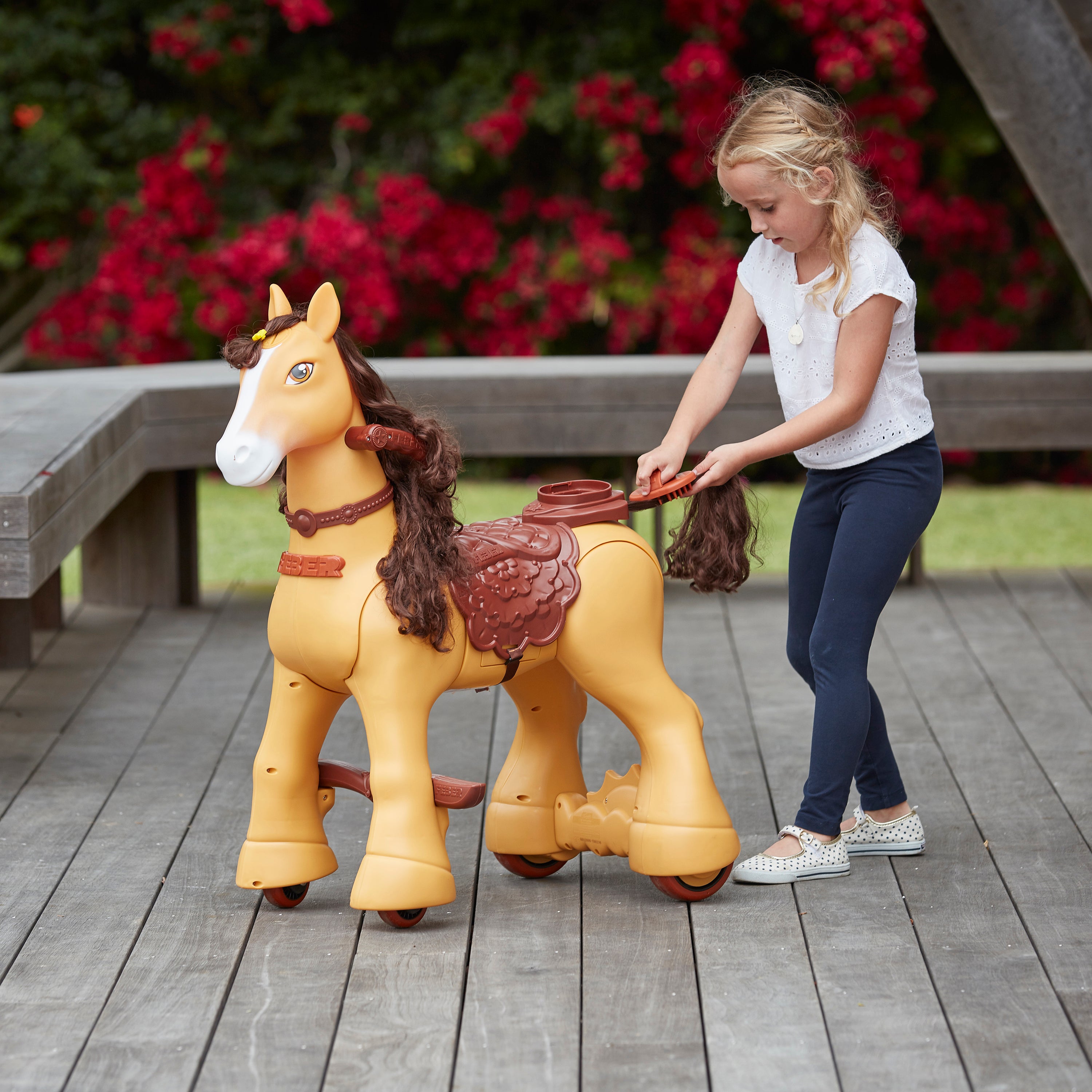 My Wild Pony