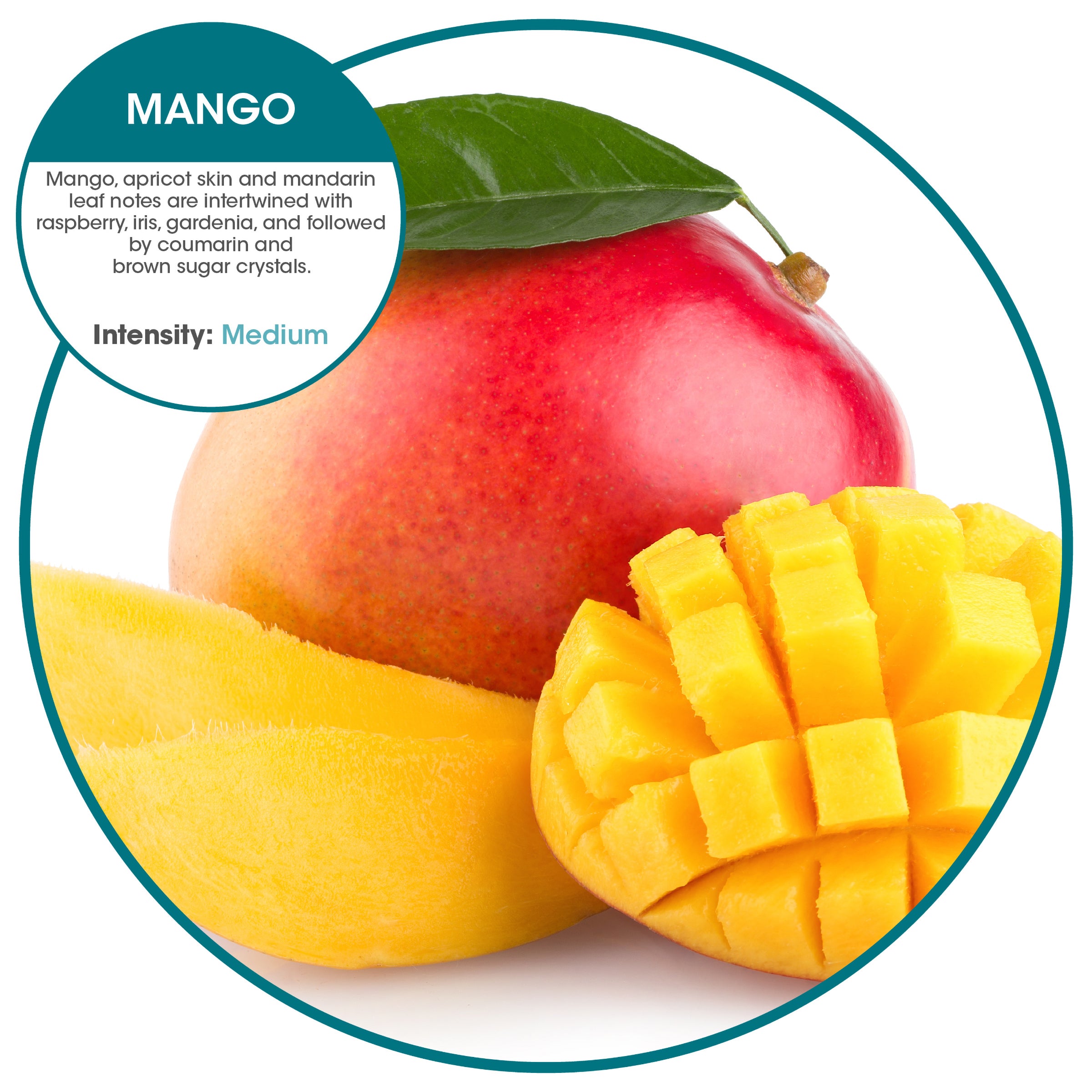 Eco Hang Tag Mango (72 Pack)