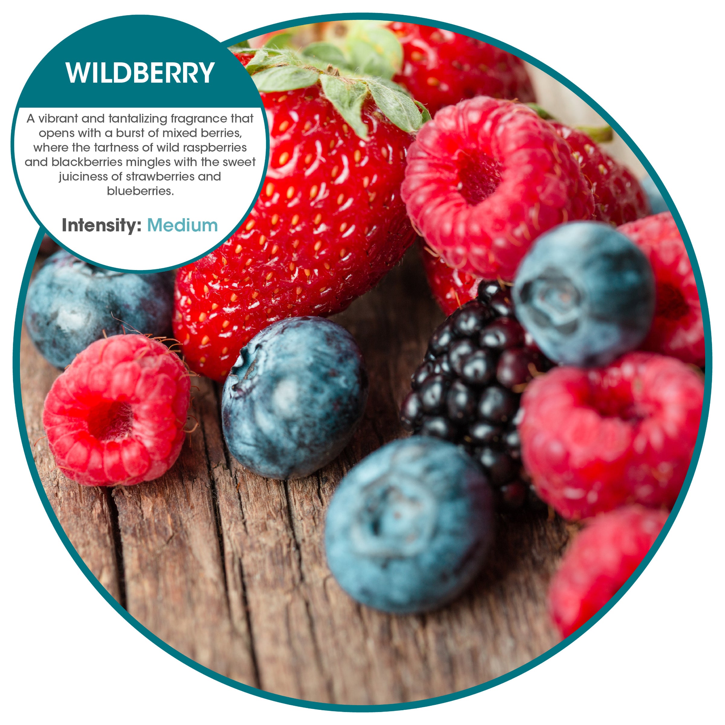 Fusion 3000 aerosol refills Wildberry (12 Pack)