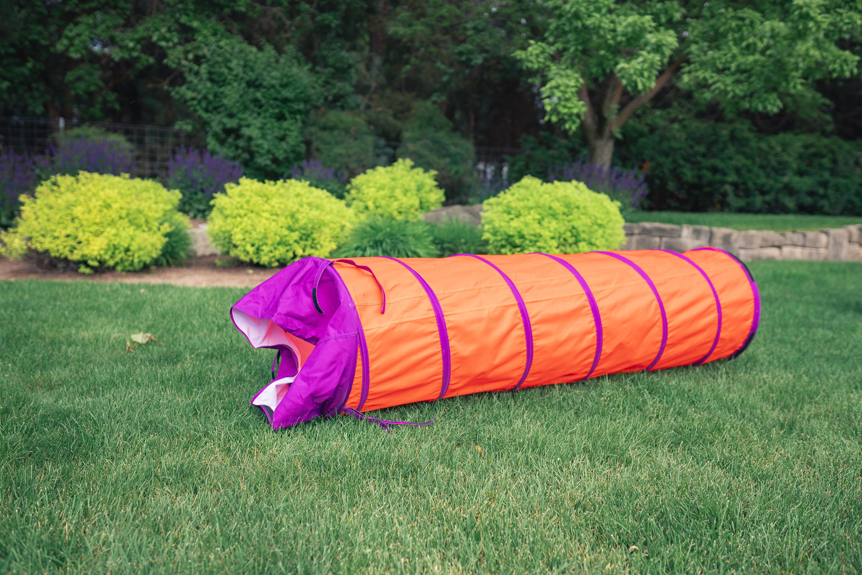 Institutional Tunnel - Orange/Purple