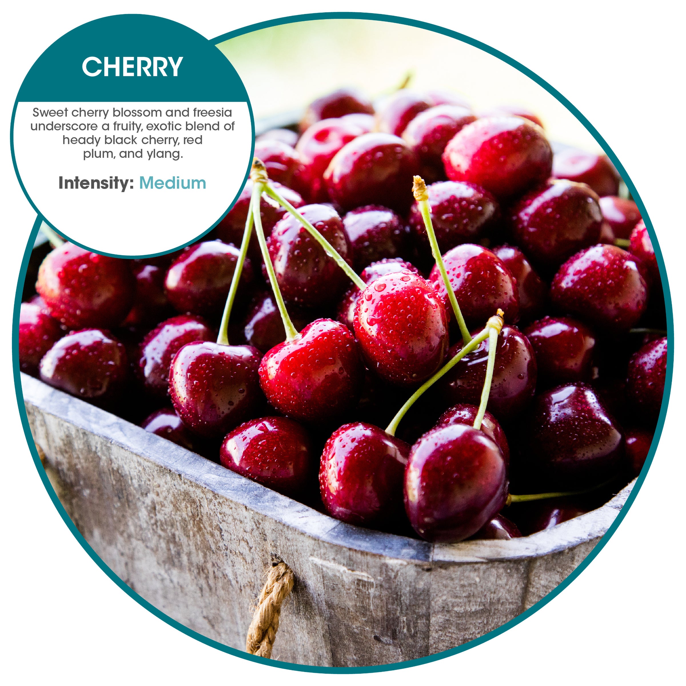 Vinyl Deodorant Urinal Screen Cherry (100 Pack)