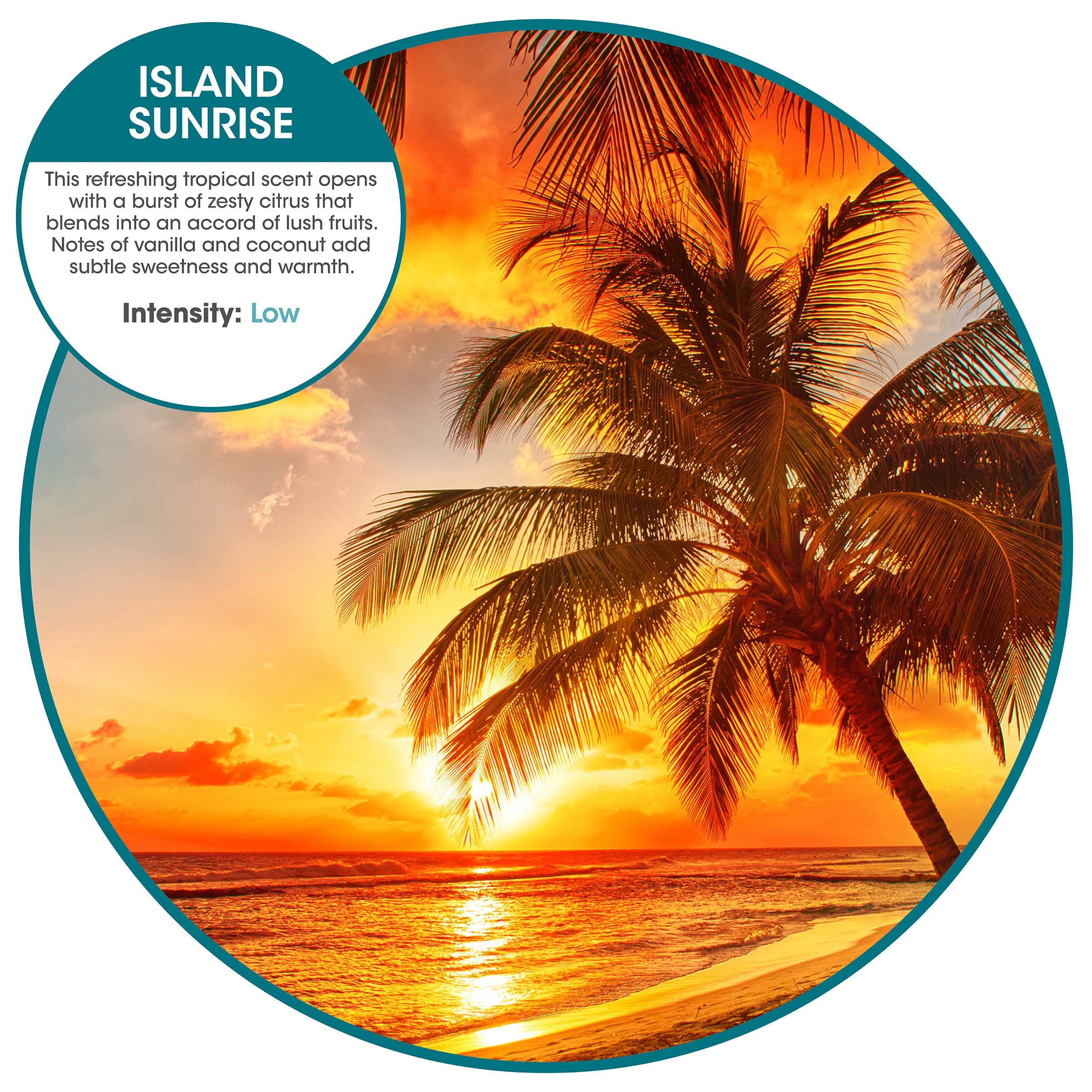 OurFresh refill Island Sunrise (48 Pack)