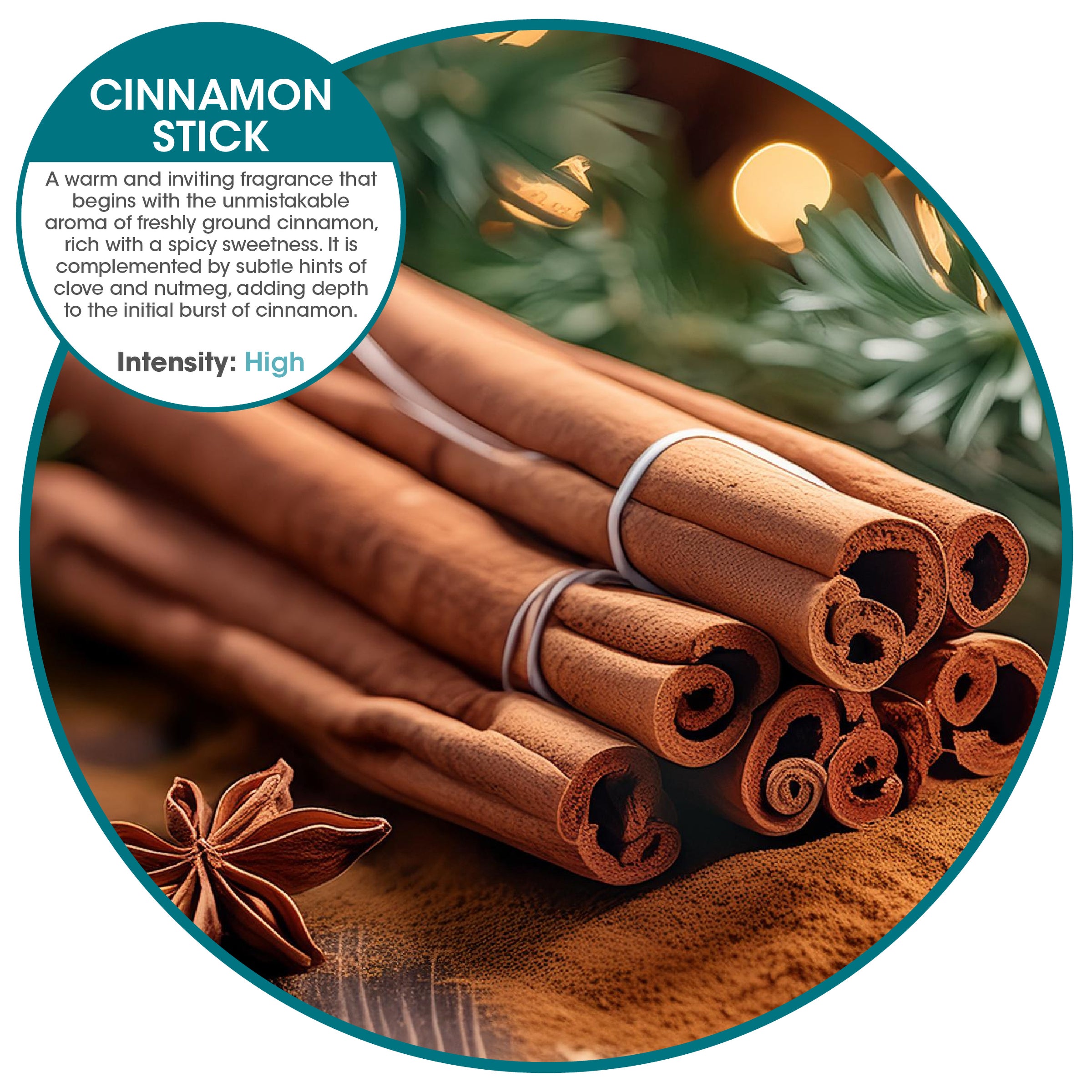 Fusion 3000 aerosol refills Cinnamon Stick (12 Pack)