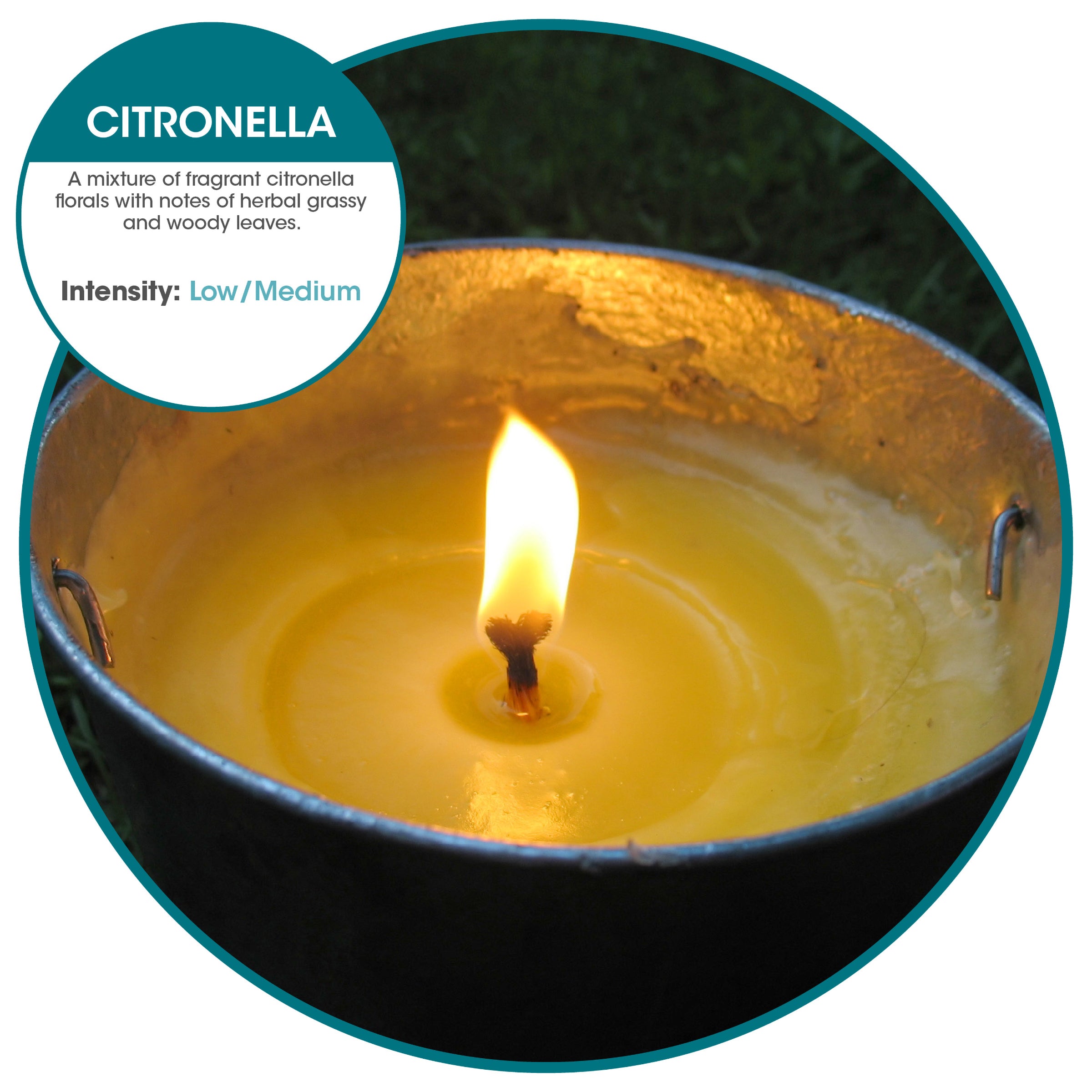 Citro-Fresh 12 ounce can Citronella (12 Pack)