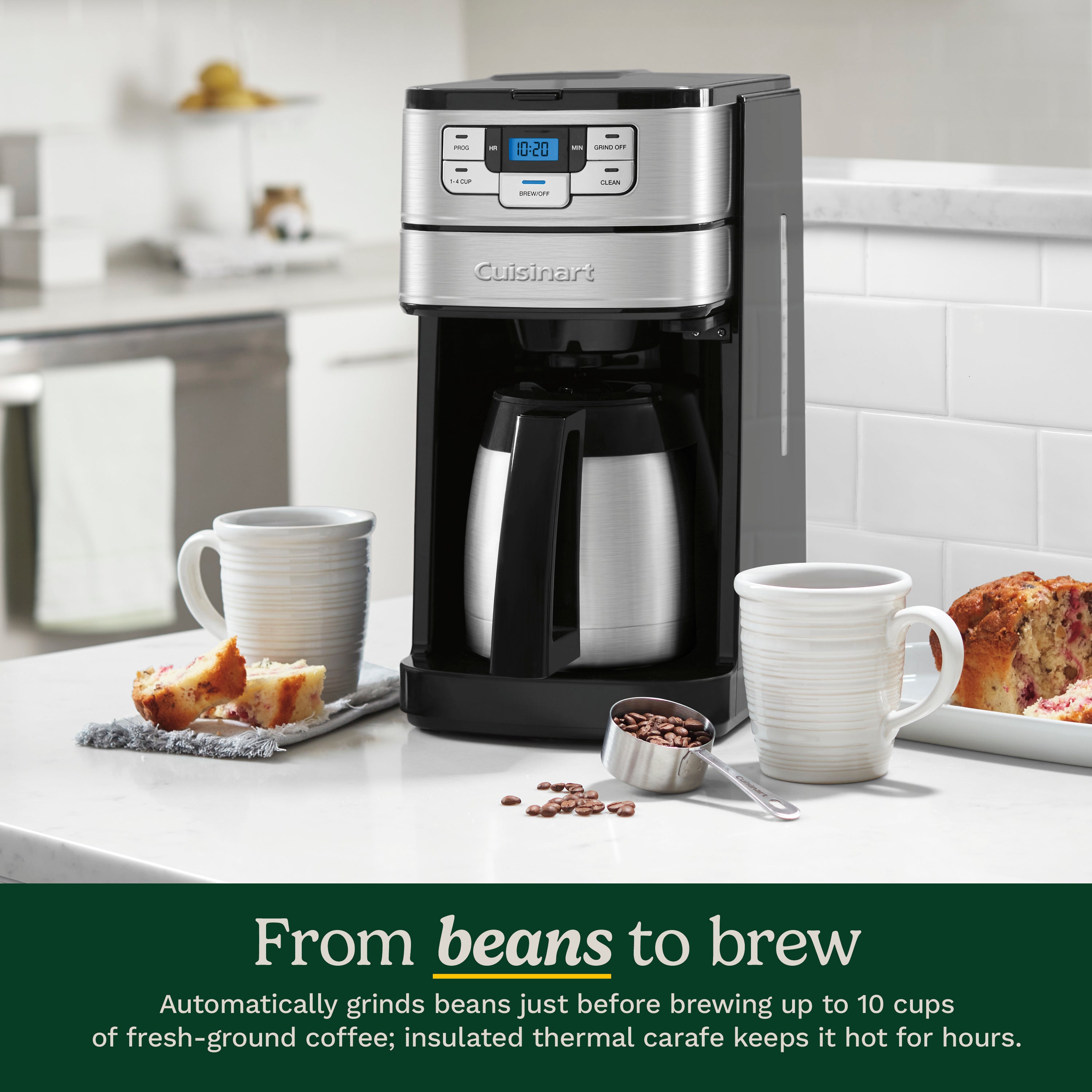 Automatic Grind & Brew 10 Cup Coffee Maker