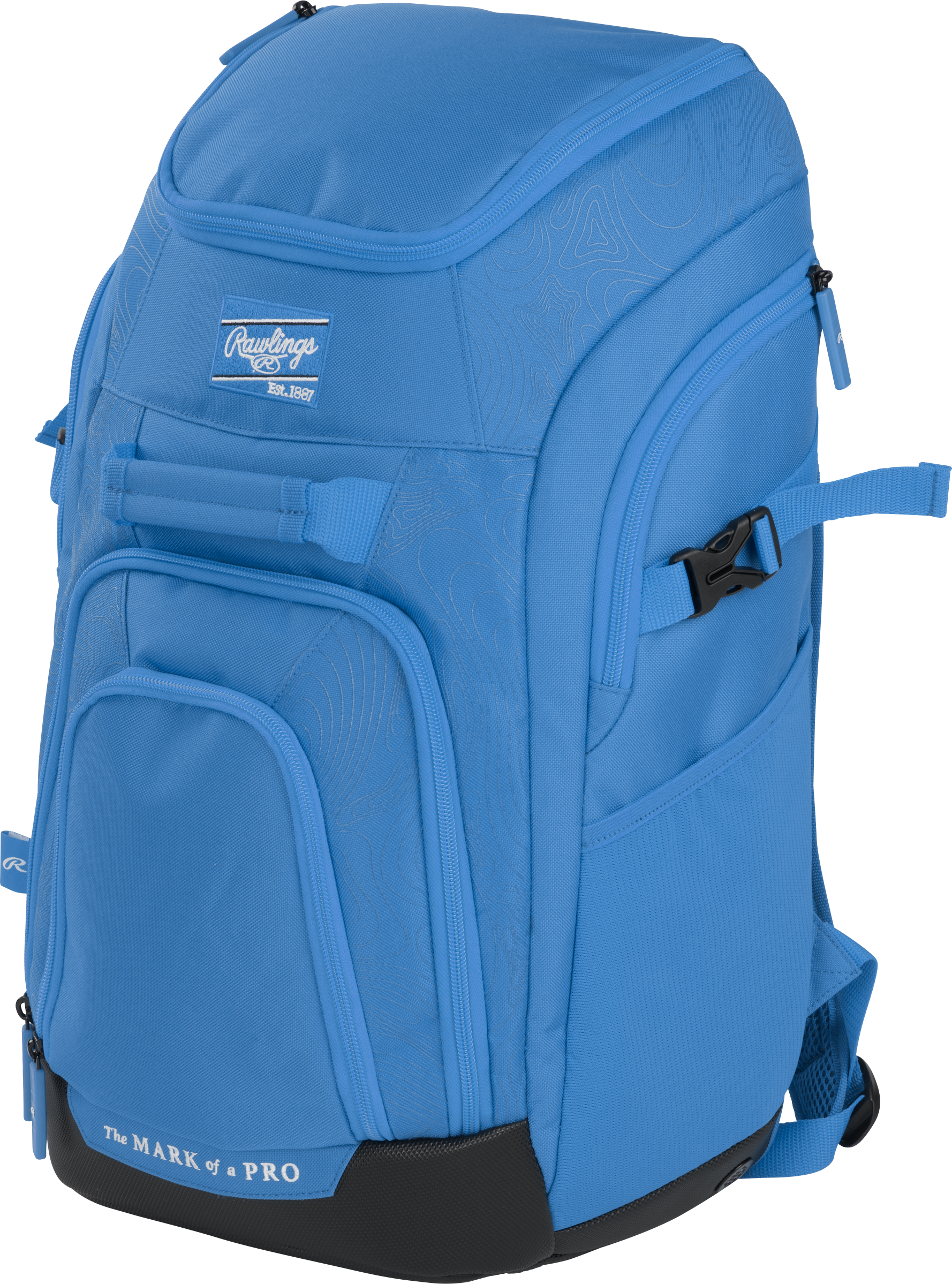 Rawlings Franchise 2 Players Backpack - Columbia Blue