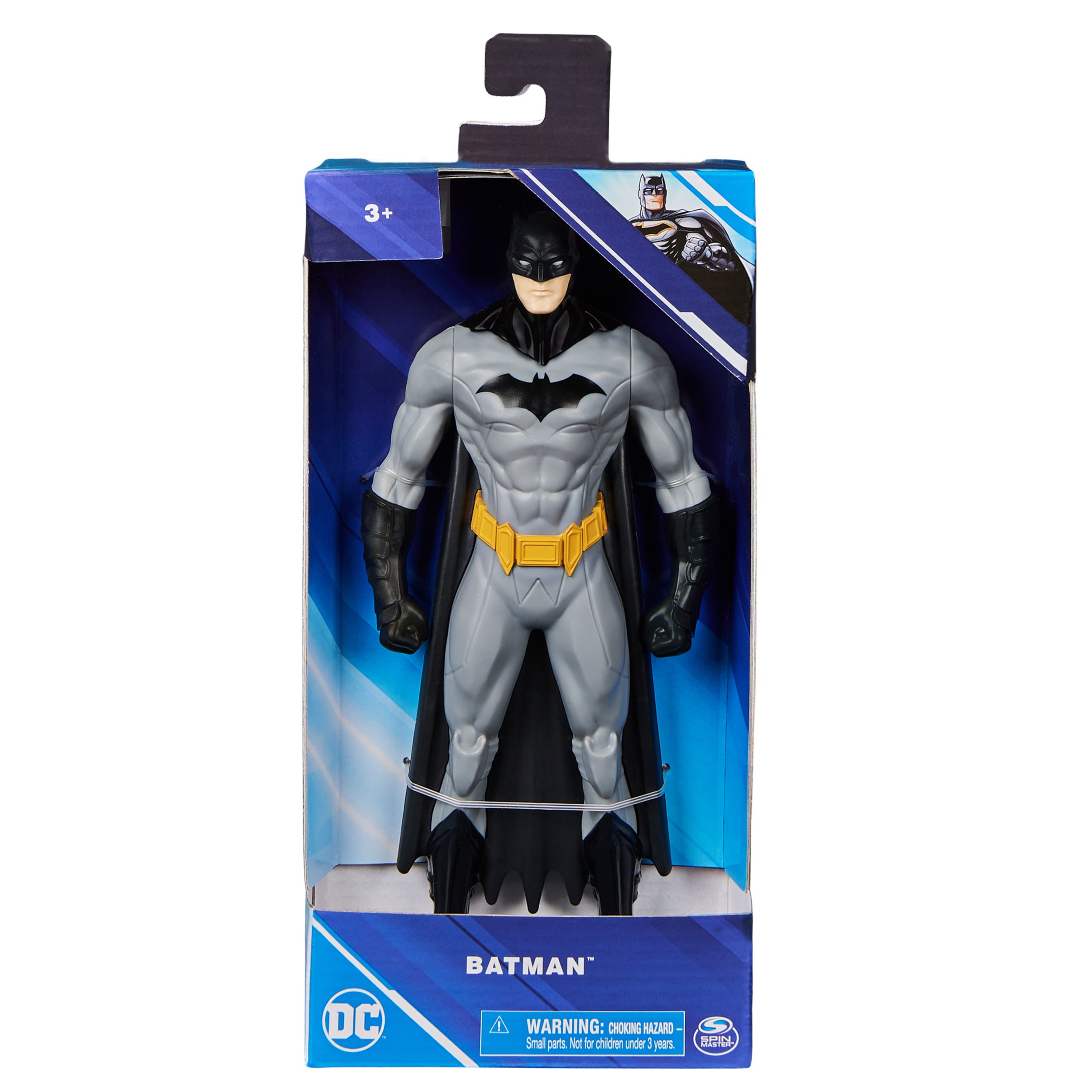 DC UNIVERSE 9.5in FIGURE ASST