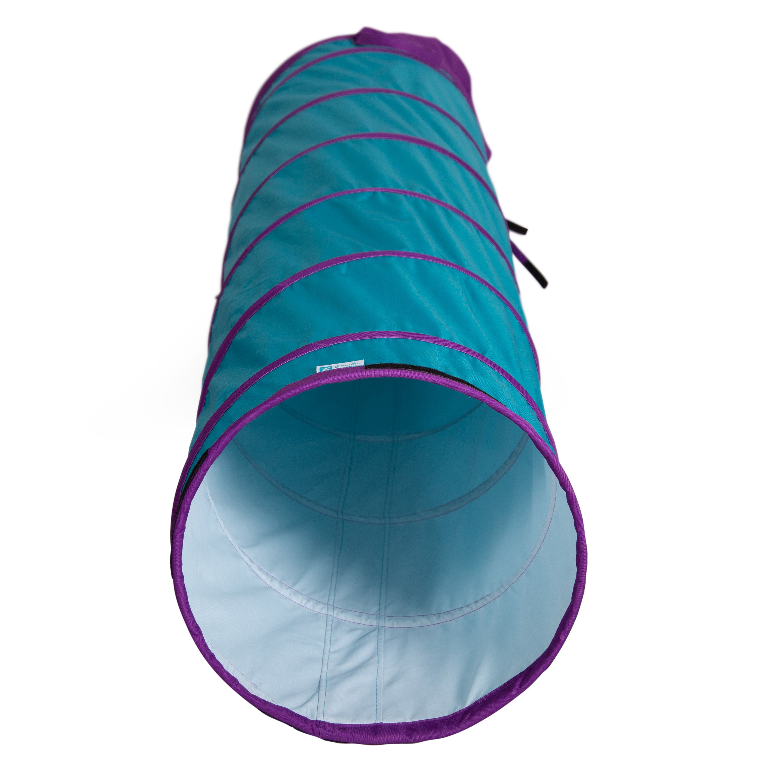 Institutional Tunnel - Teal/Purple